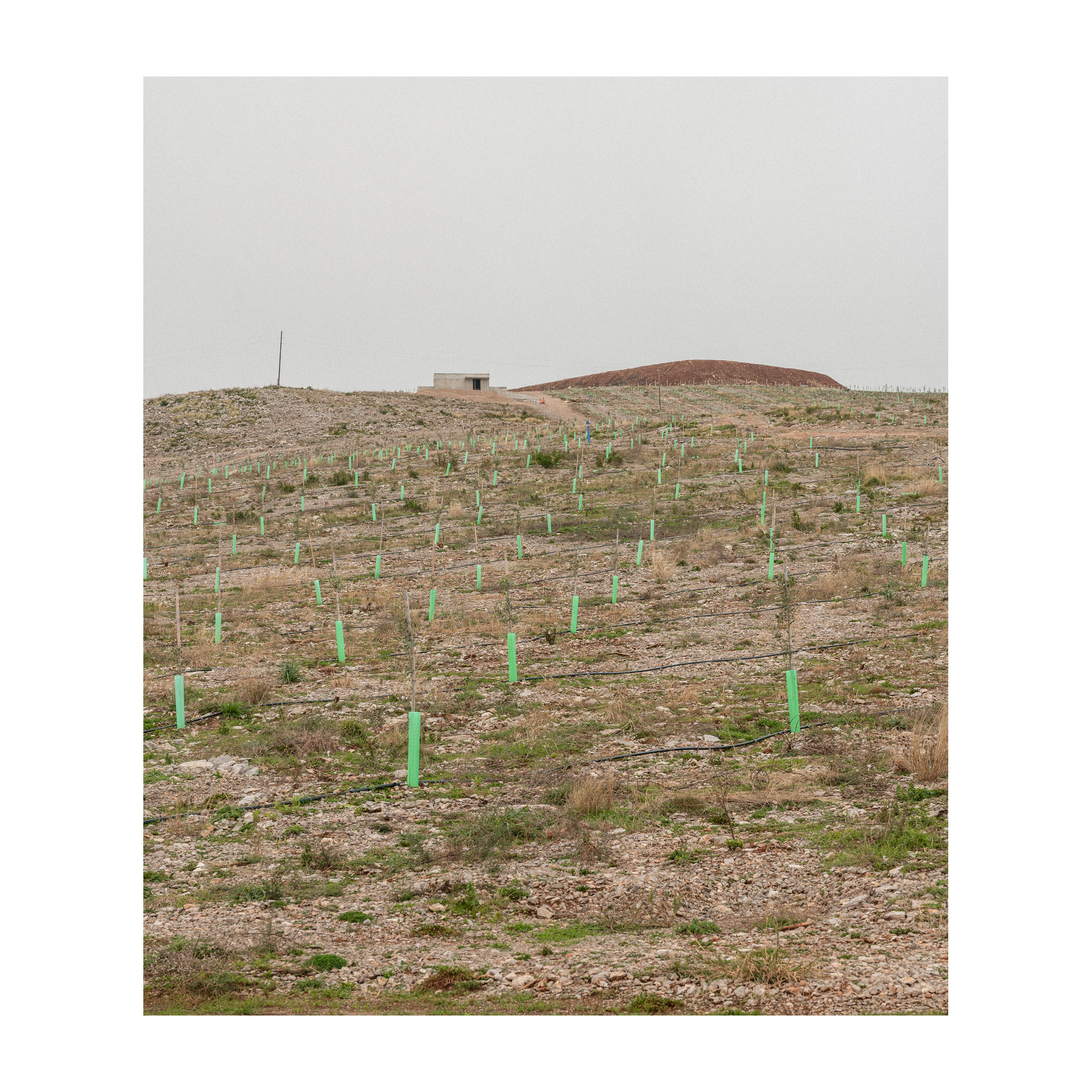 Ivičnjak. Артем Владимиров