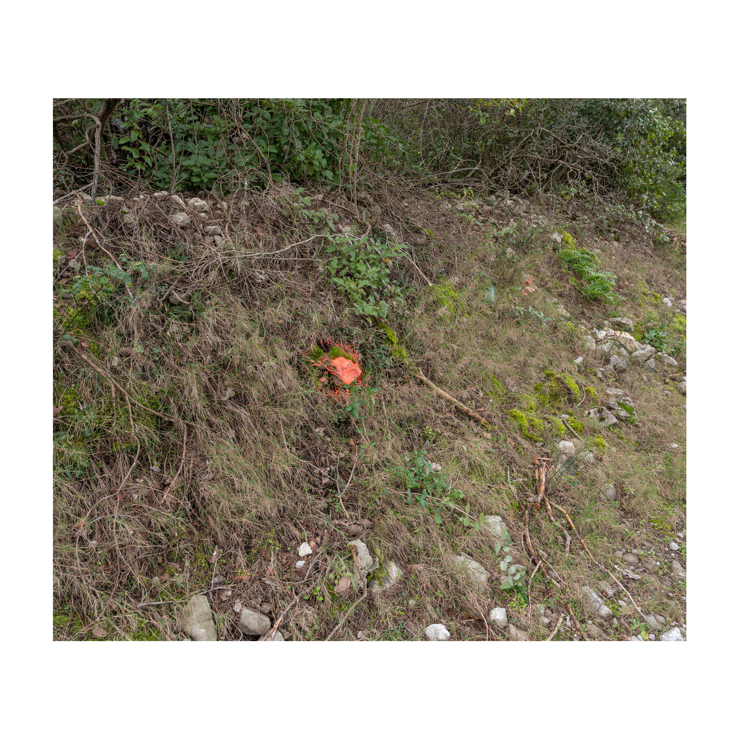 Ivičnjak. Артем Владимиров