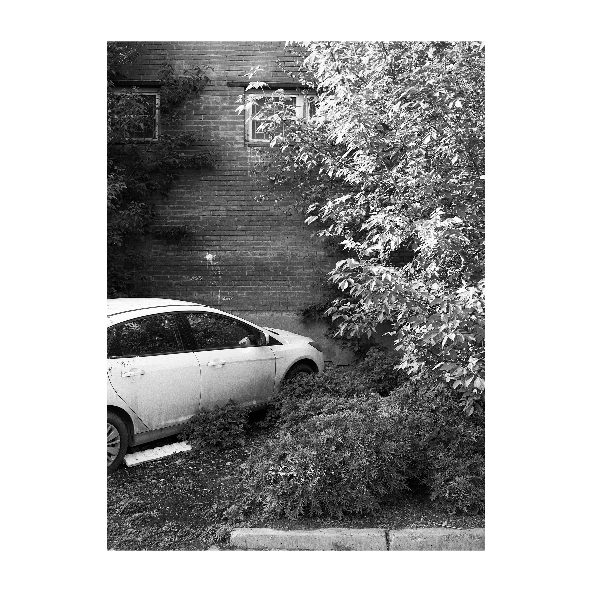 40 дней. Артем Владимиров