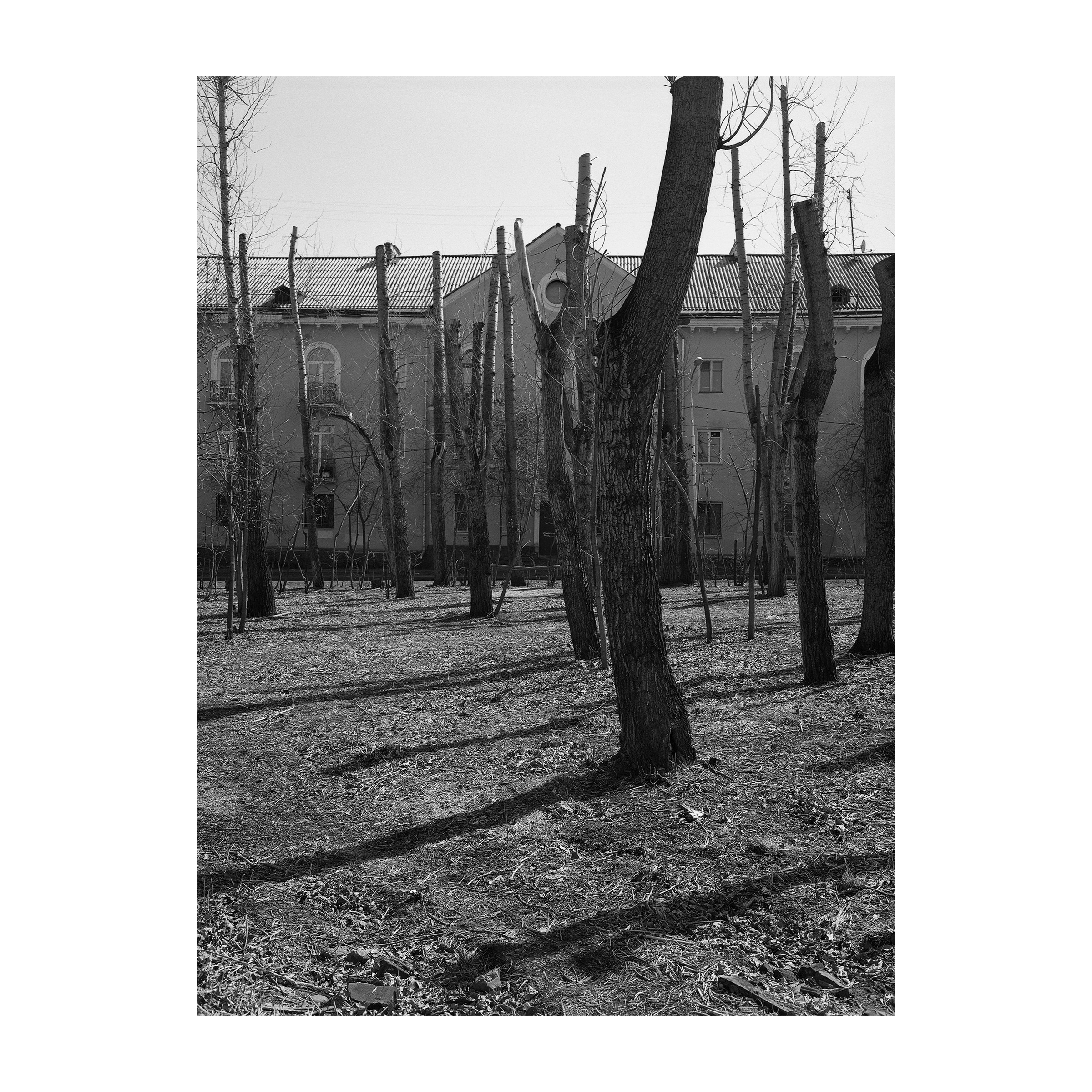 40 дней. Артем Владимиров