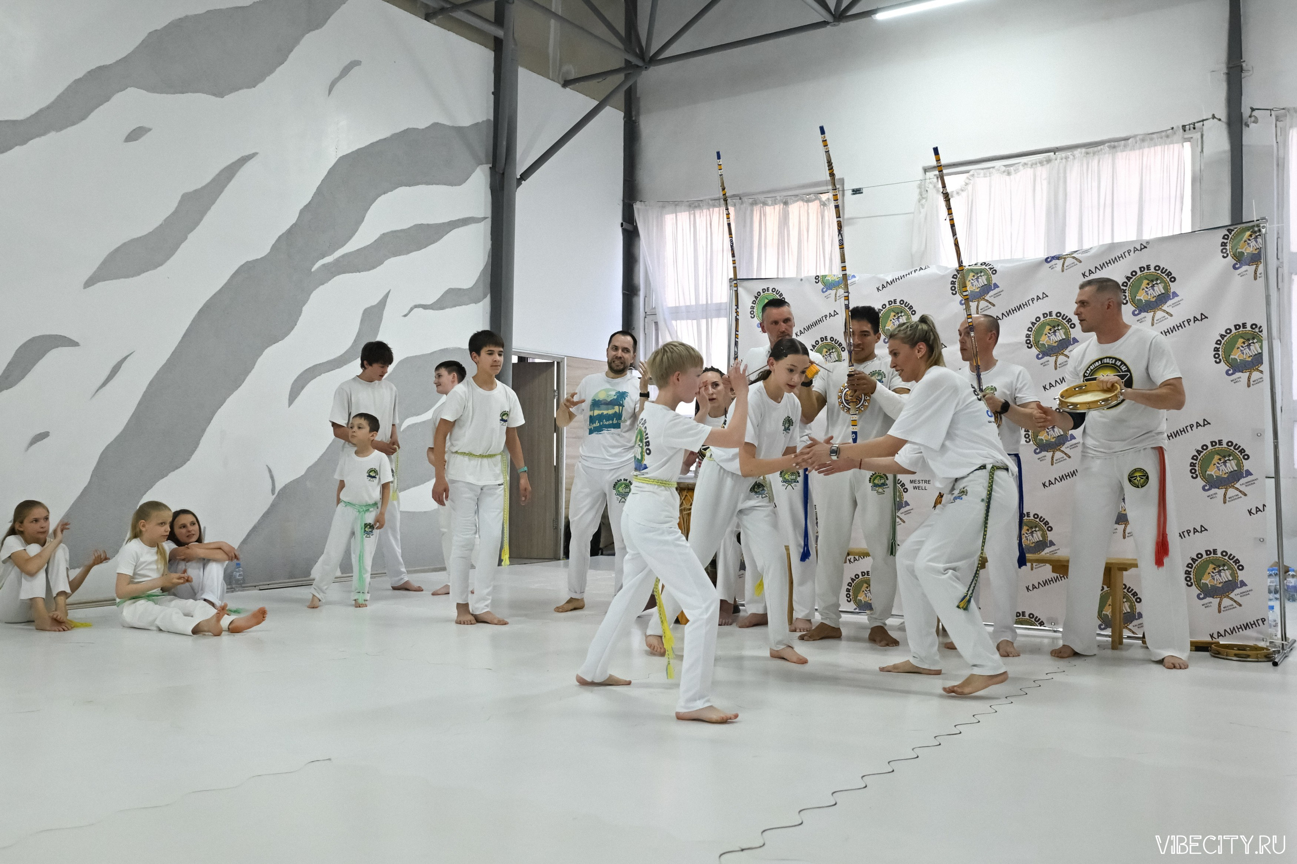 Capoeira: 4-е batizado e Troca de cordao. VIBECITY.RU Вайб Сити Ру Фоторепортажи Фотоотчеты Калининград