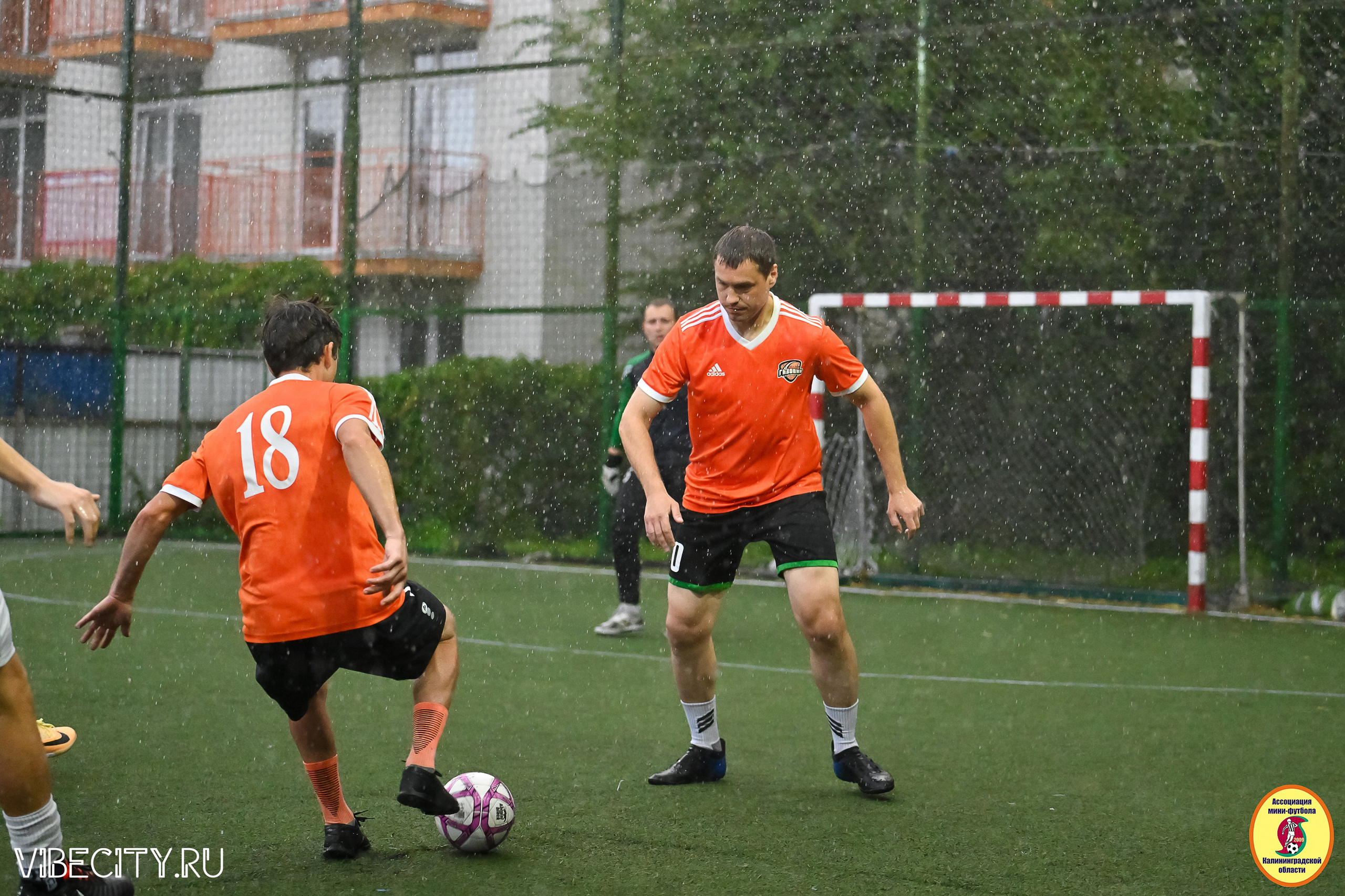 ИГРЫ МИНИ-ФУТБОЛЬНОЙ И КОРПОРАТИВНОЙ ЛИГИ. VIBECITY.RU Вайб Сити Ру Фоторепортажи Фотоотчеты Калининград