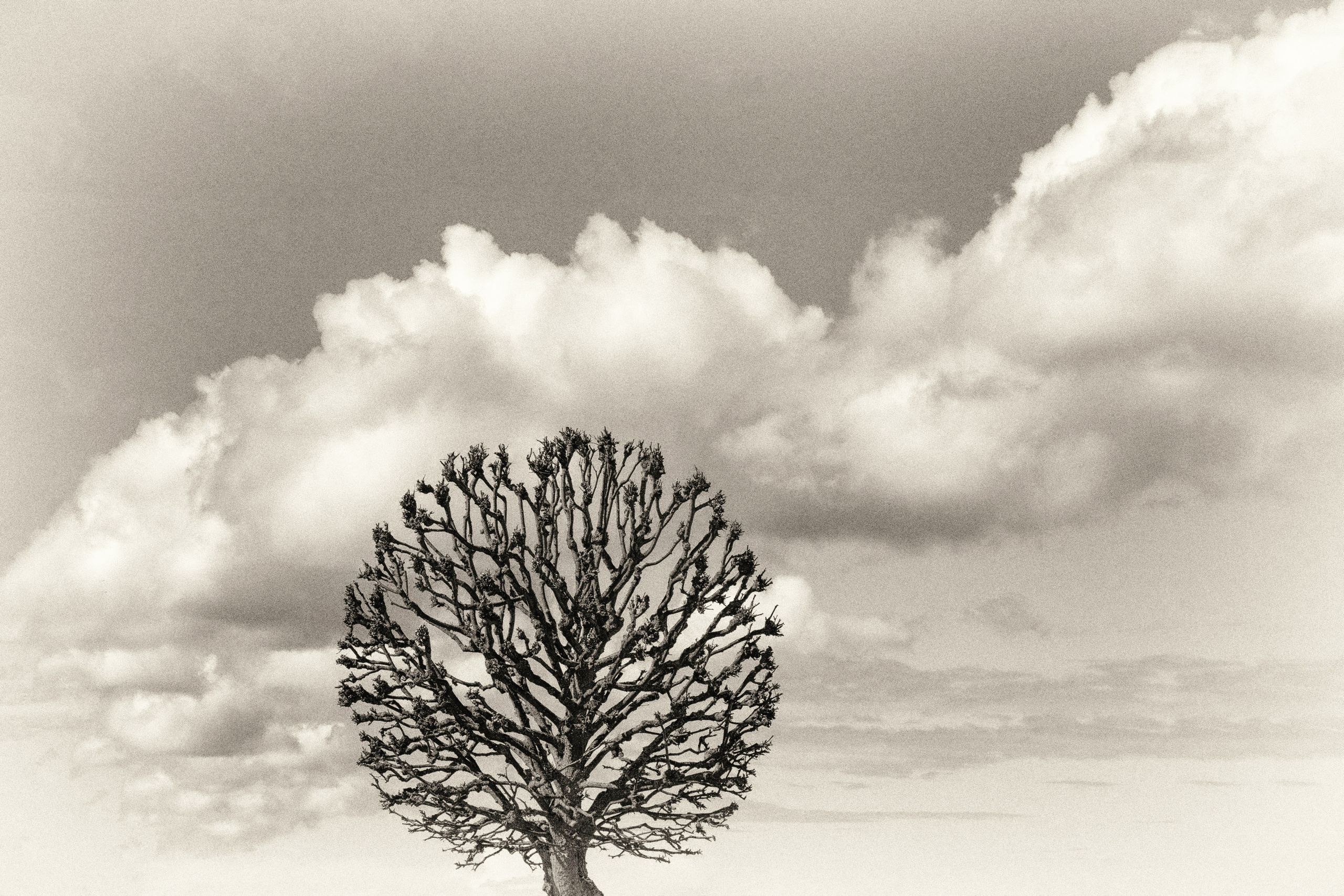 Интерьерная фотография. Фотограф Ольга Дунаева