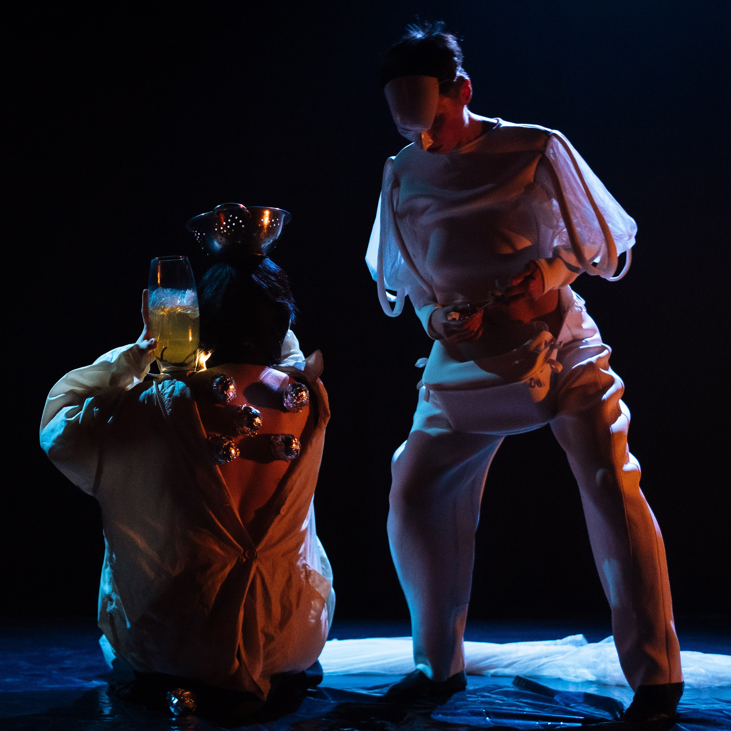 Двойник (2024). Междисциплинарный художник и режиссер София Меликова