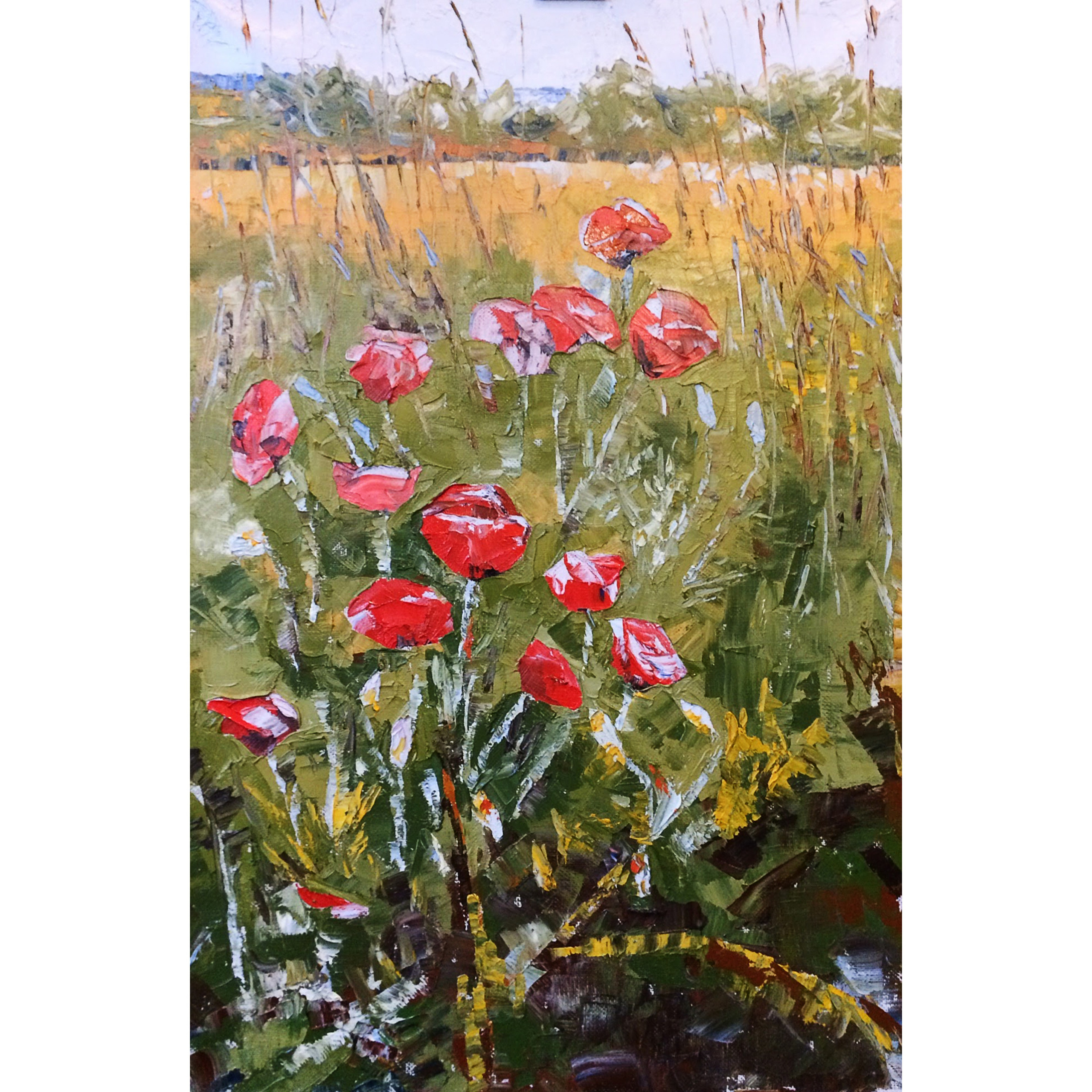 Фотосъемка картин