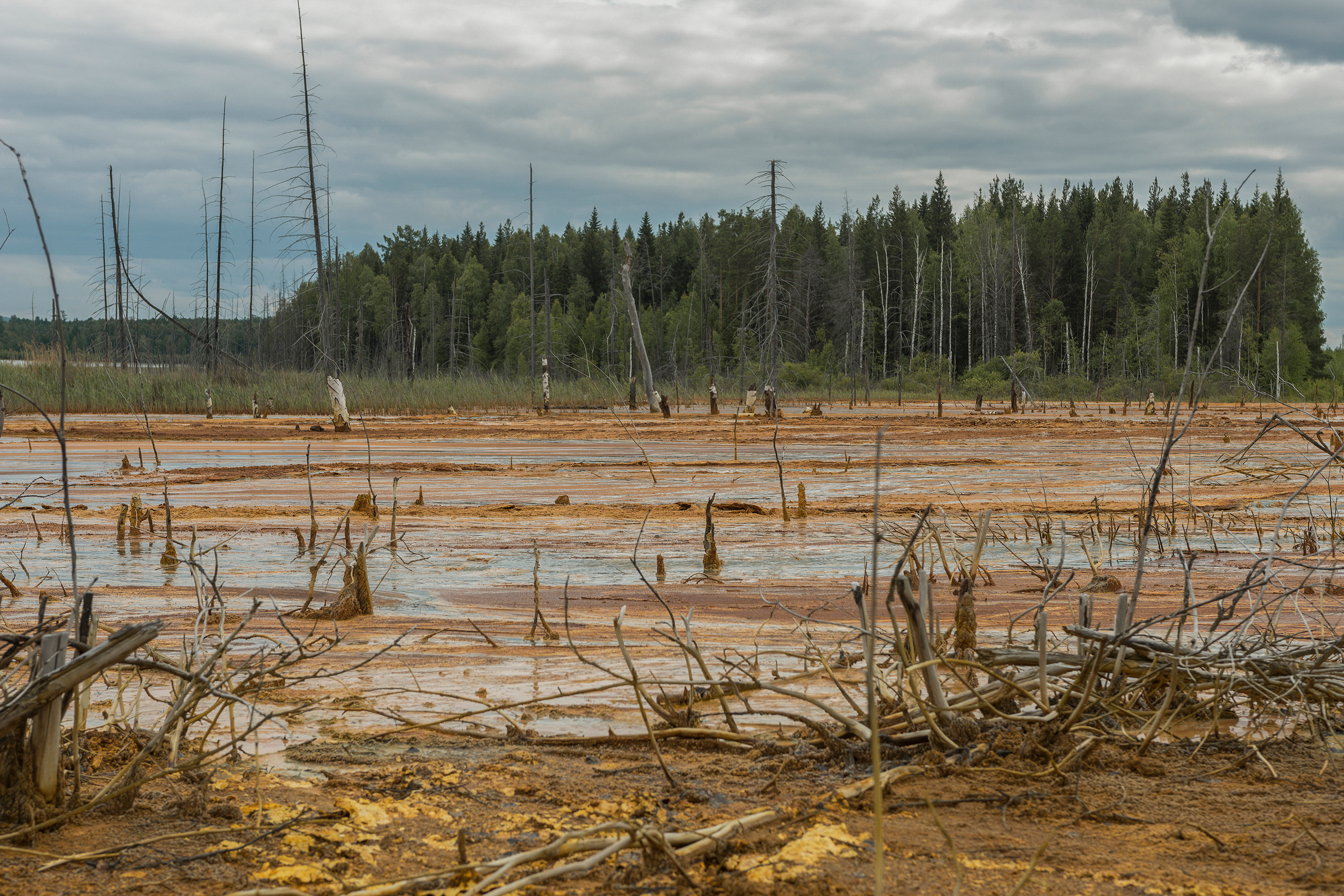 Дневник русалки. Plechinta Ekaterina — documentary photographer