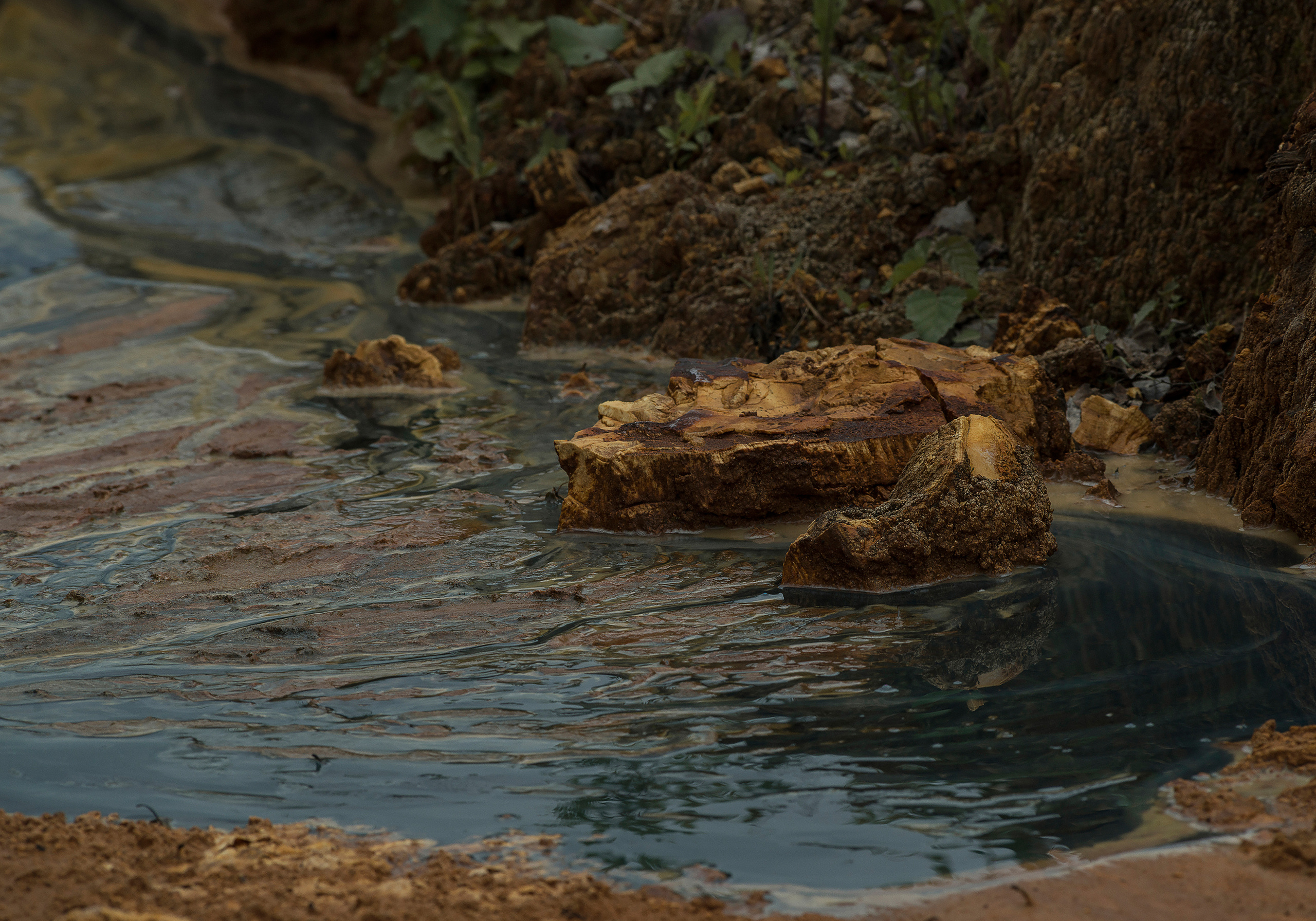 Дневник русалки. Plechinta Ekaterina — documentary photographer