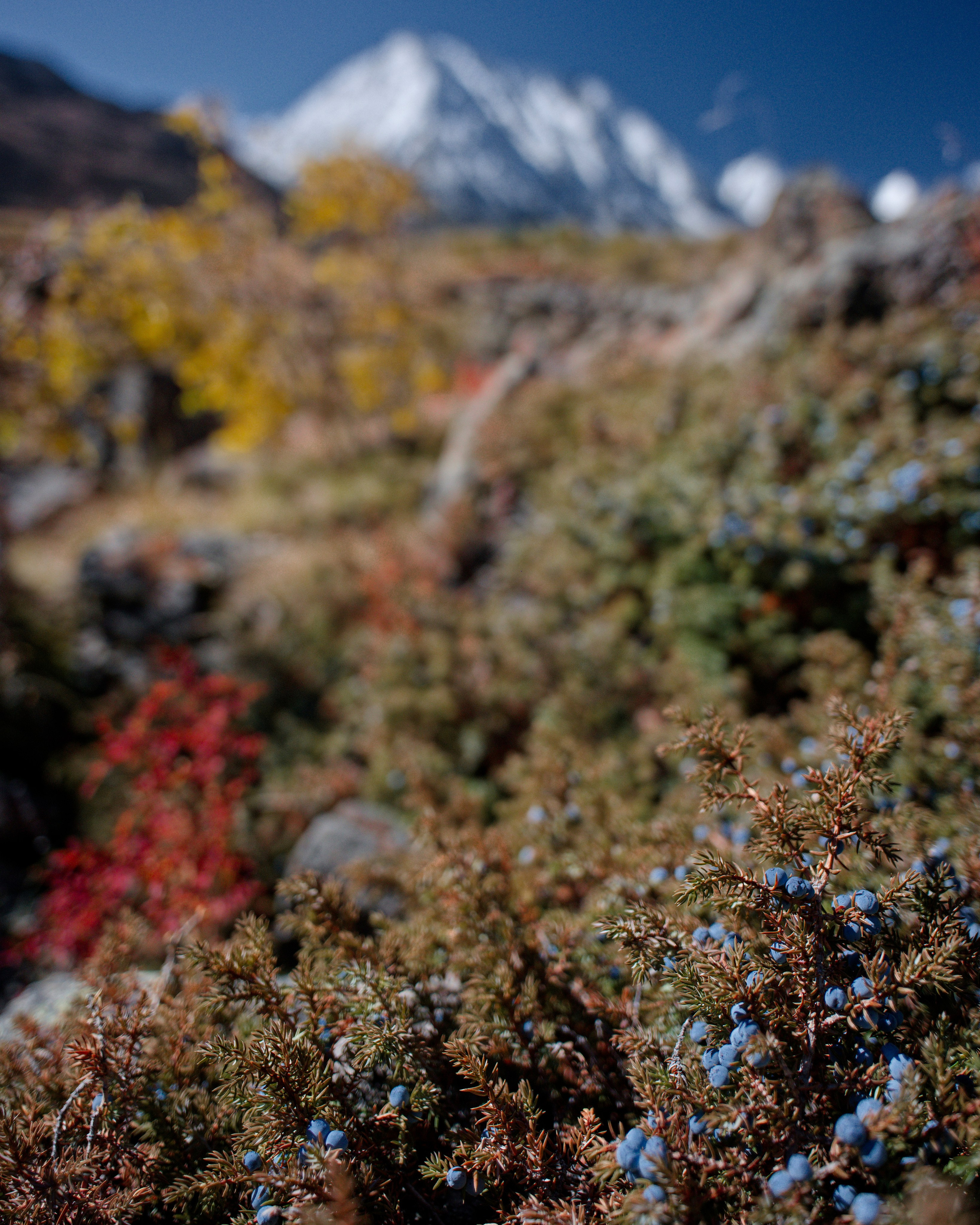 Путешествие по южному Алтаю. Семоха Валерий. Фотограф