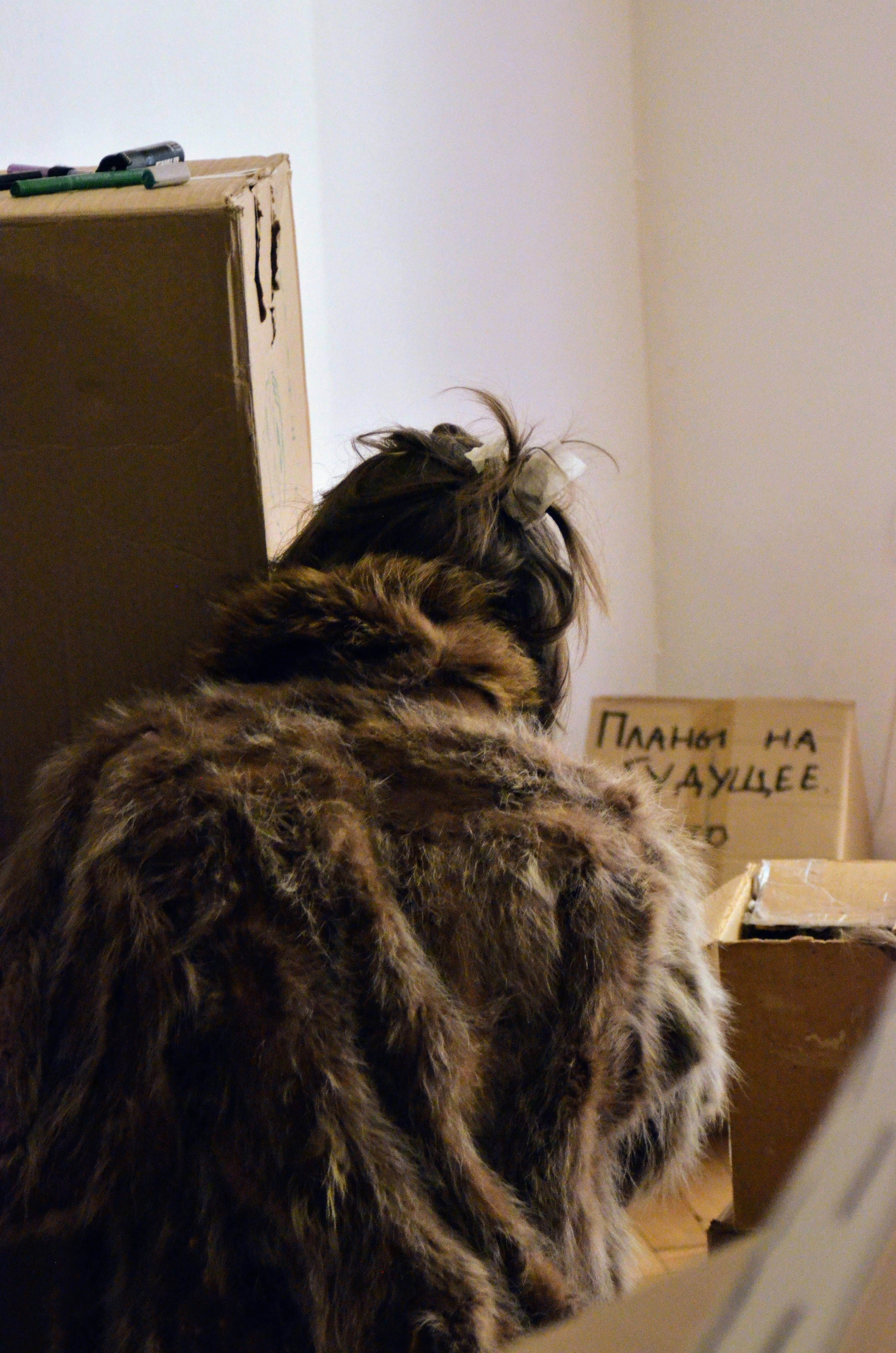 2024 performans “boxes”. Home