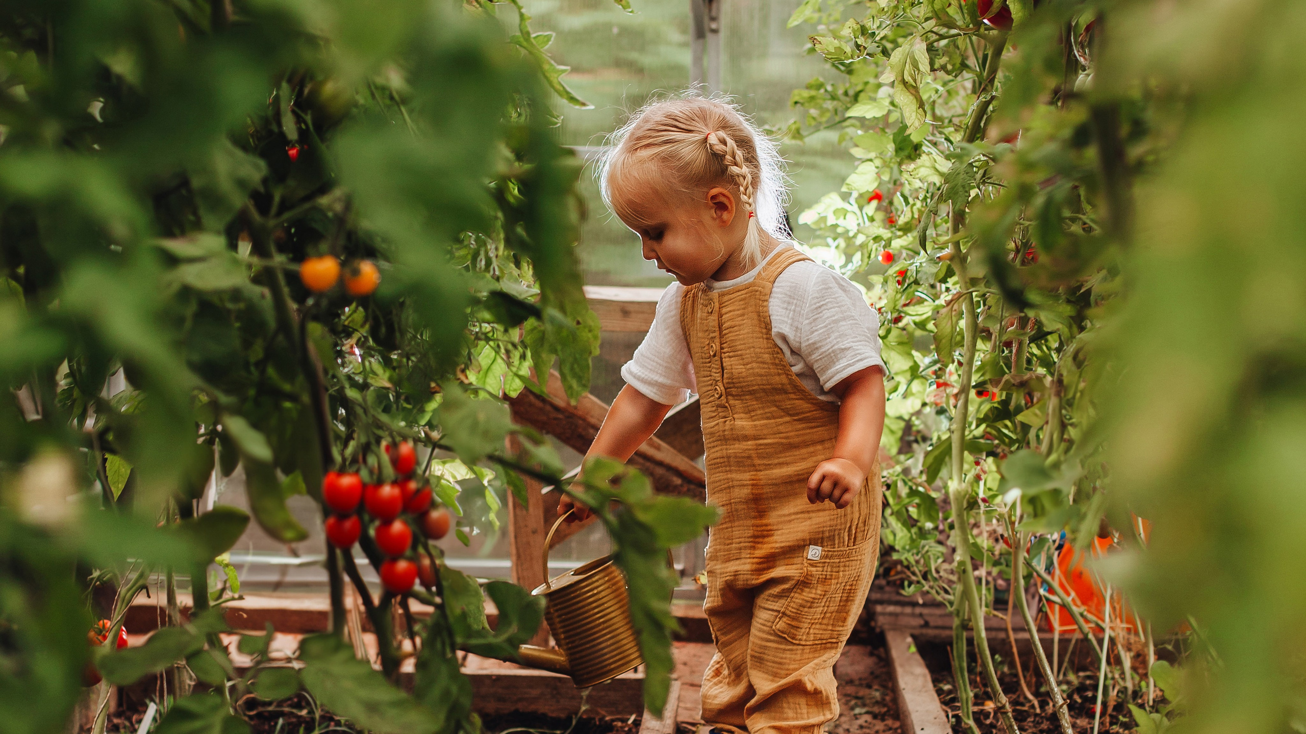 Семейный фотограф