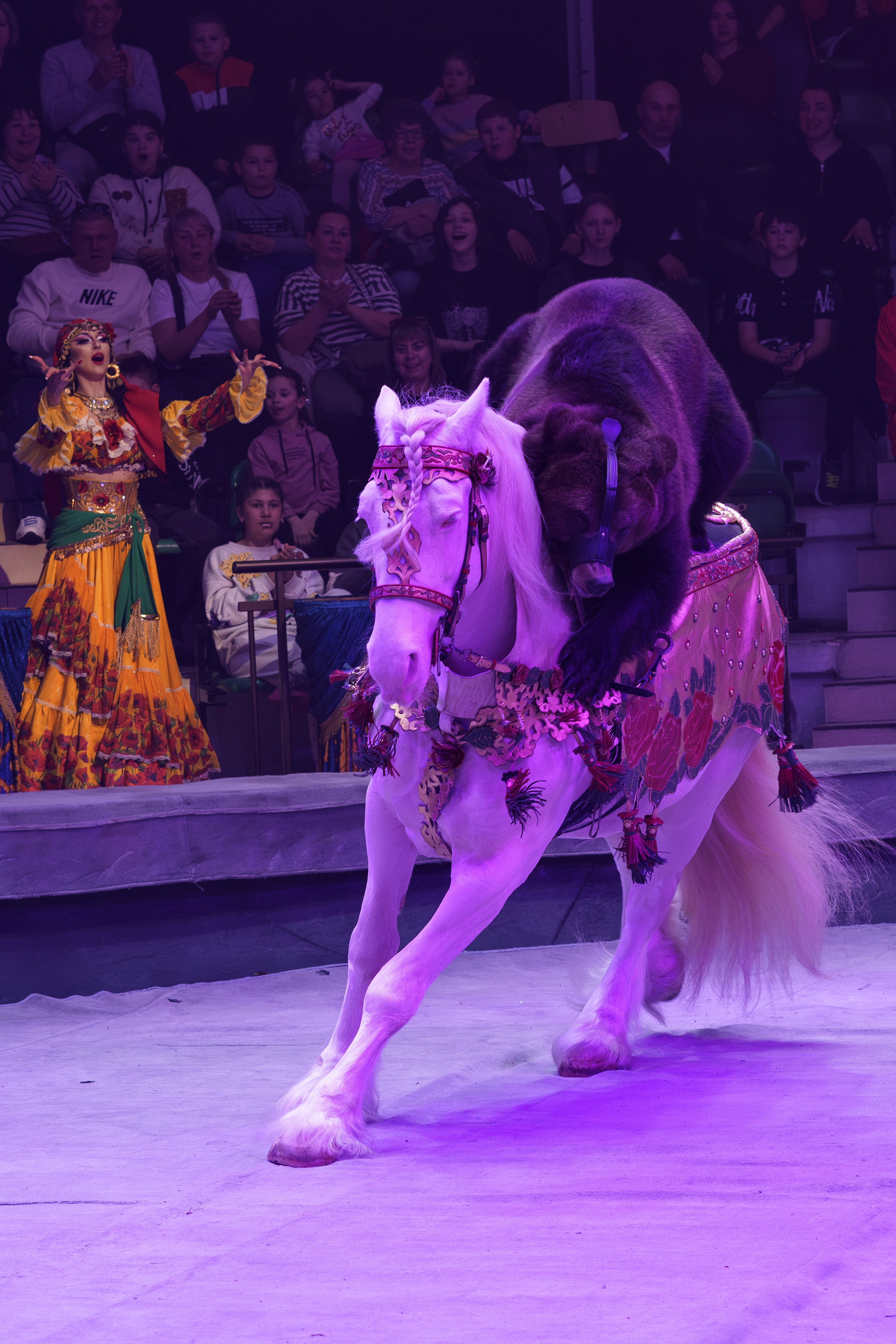 «Королевский цирк Гии Эрадзе»