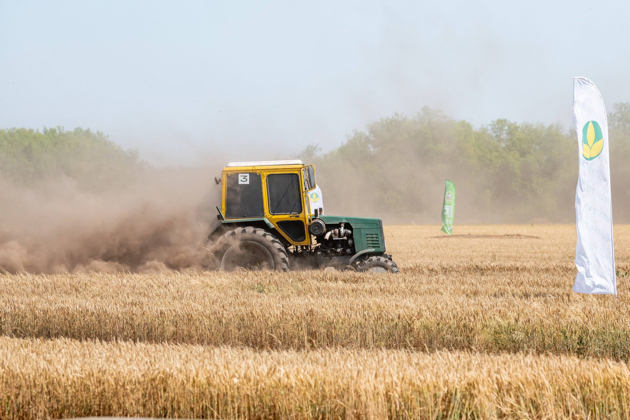 Всероссийский День Поля — 2023. Казань. Foto-Zuev фотография как искусство