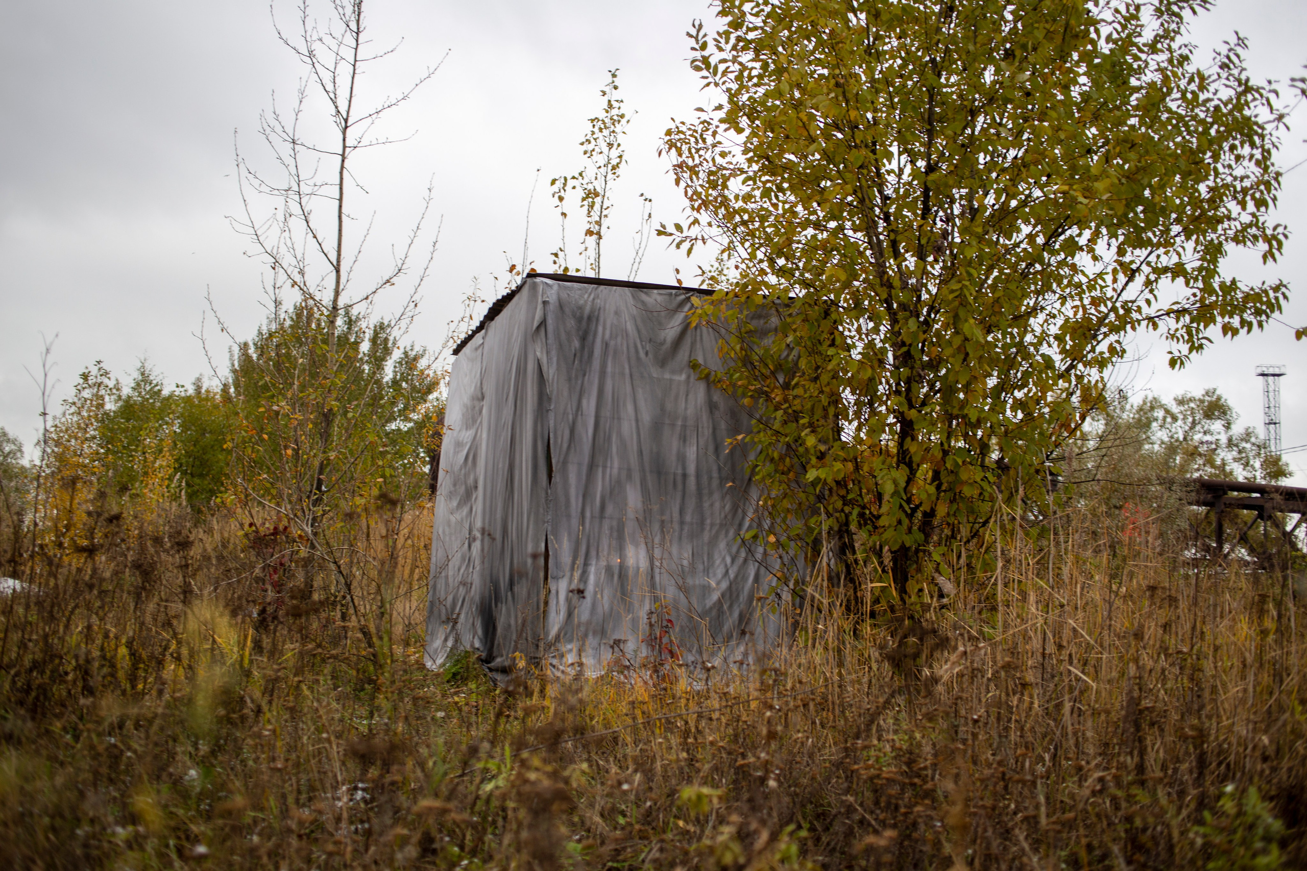 Сумерки речи. Михаил Курганов