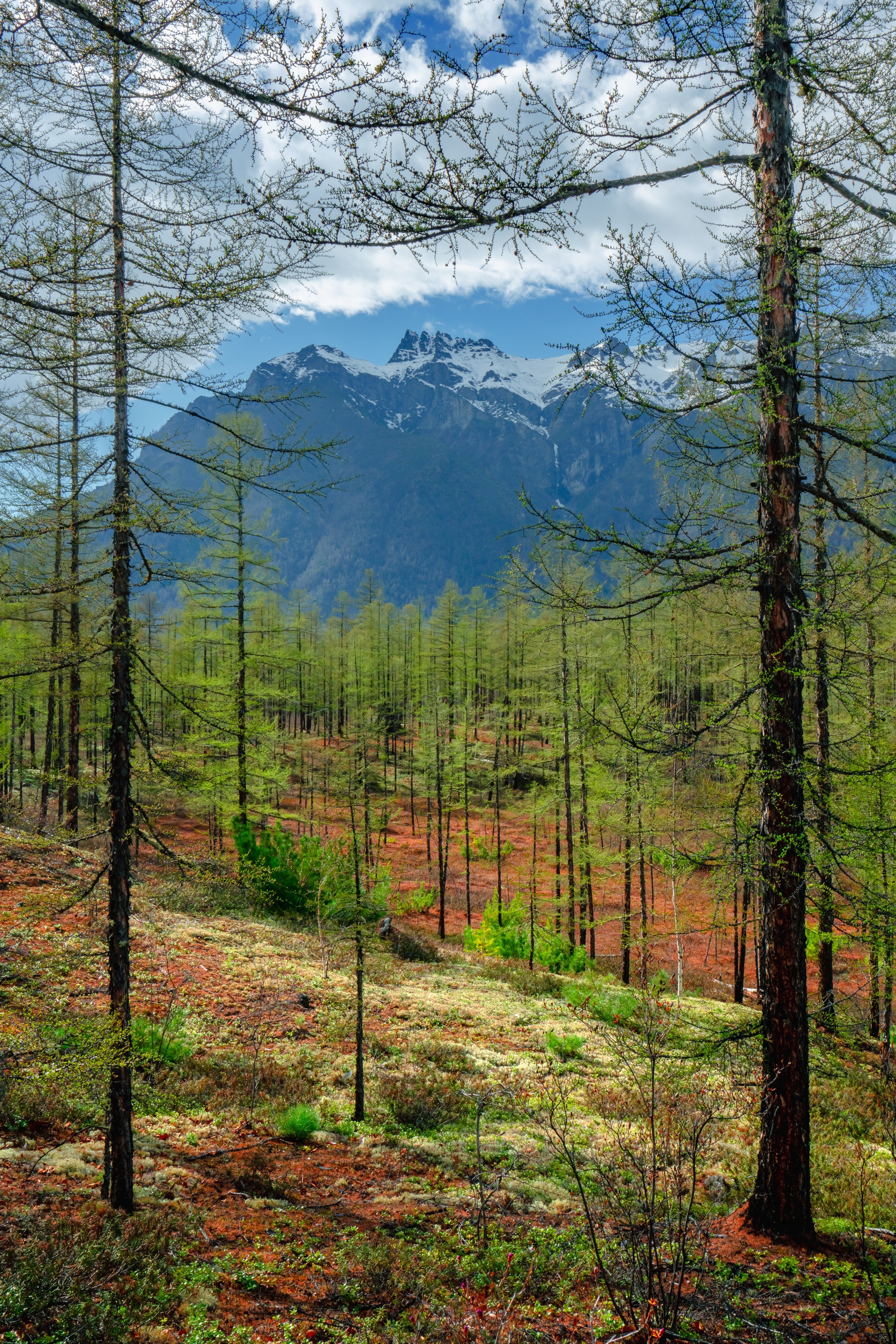 Хребет Кодар