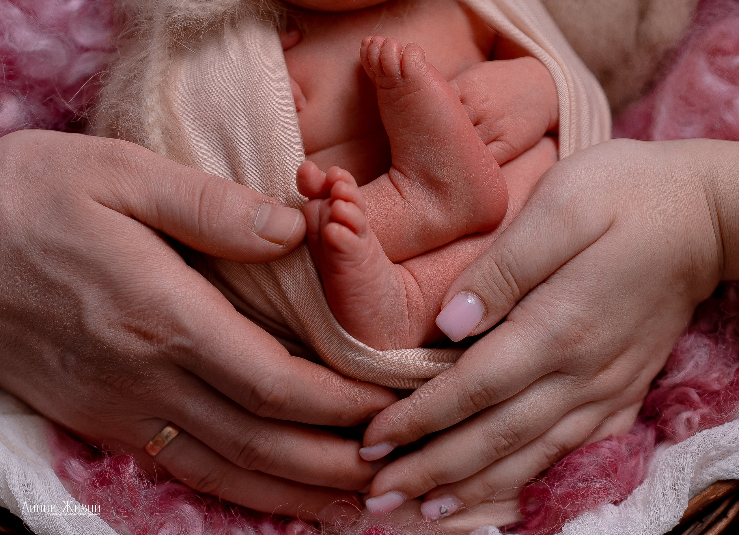 Кира 6 дней. Фотограф новорожденных в Нижнем Новгороде Сергеева Оксана