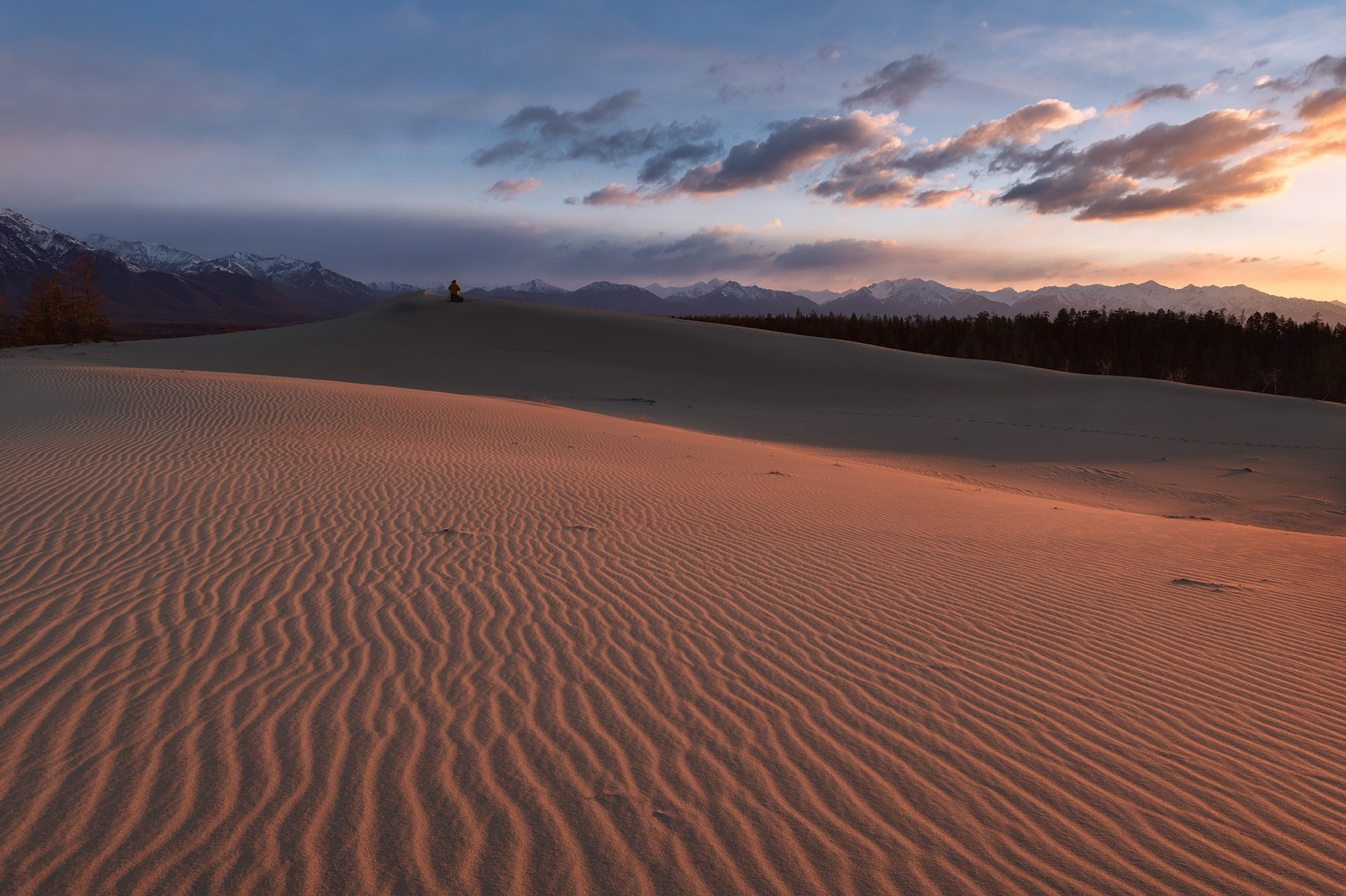 Чарские пески. Май 2026
