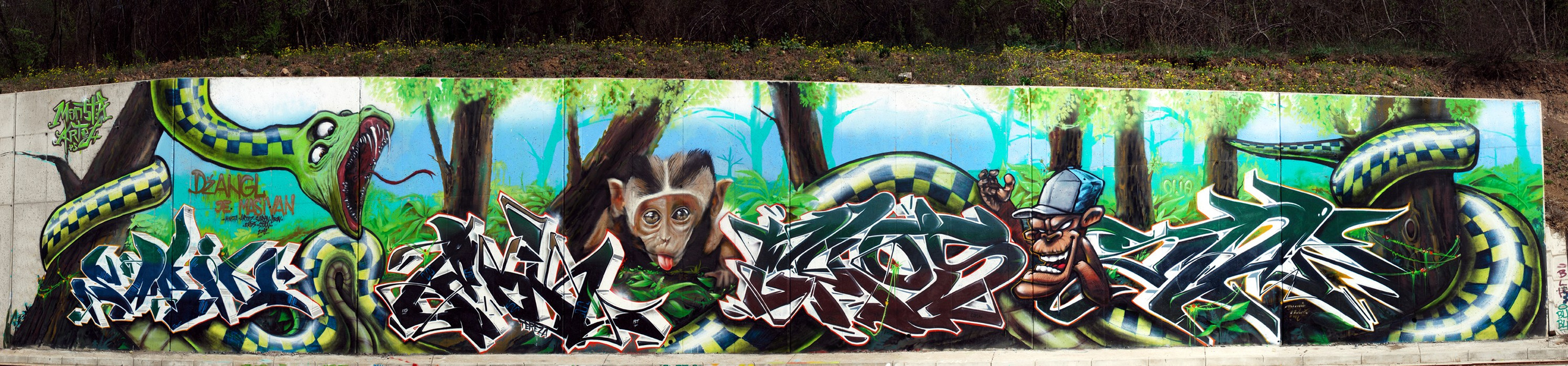 Graffiti. Alexander Stan Shimanov