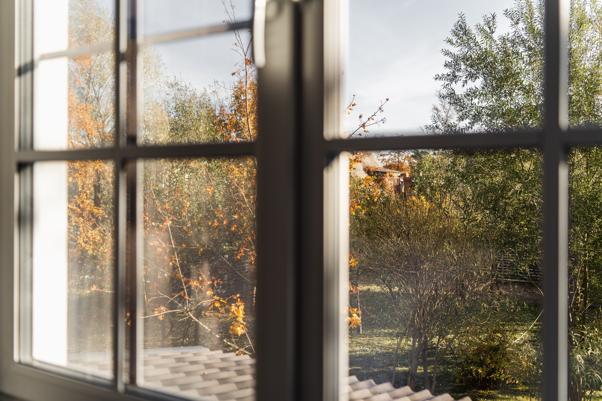 House in Lisiy Nos. Svyatoslav Bunkov | photographer