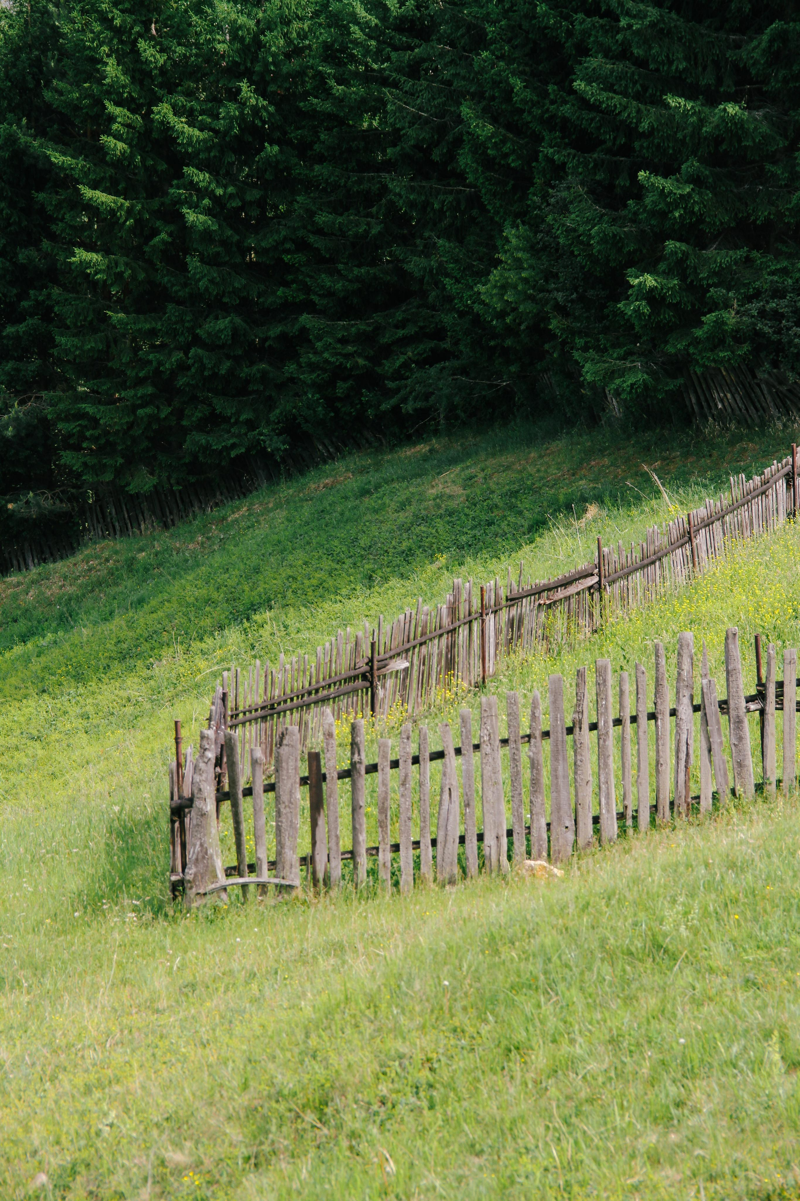 Фотоконтент для продвижения бизнеса в интернете. Студия контента «СВОЕ МЕСТО»