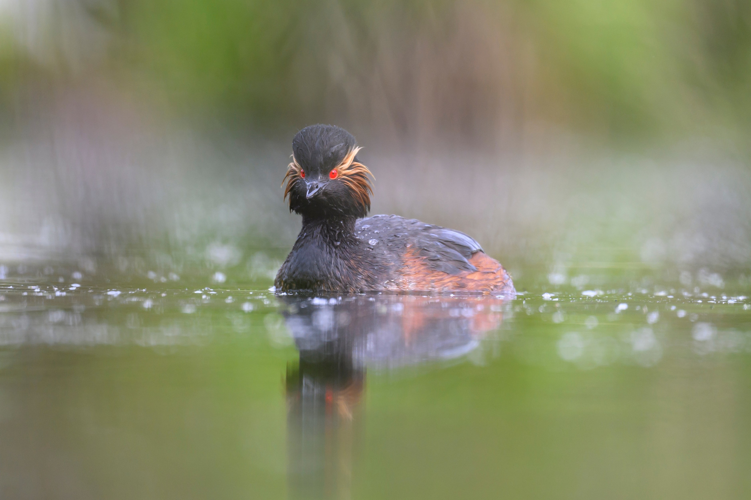 Мягкий свет. Фотограф Сергей Пупонин