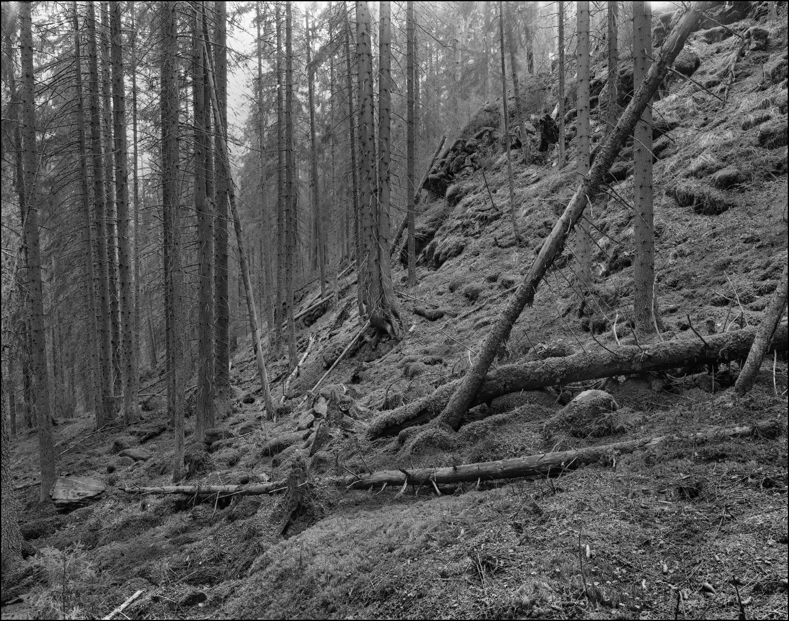 Карелия. Sergey Kondriuk art-photographer | artist