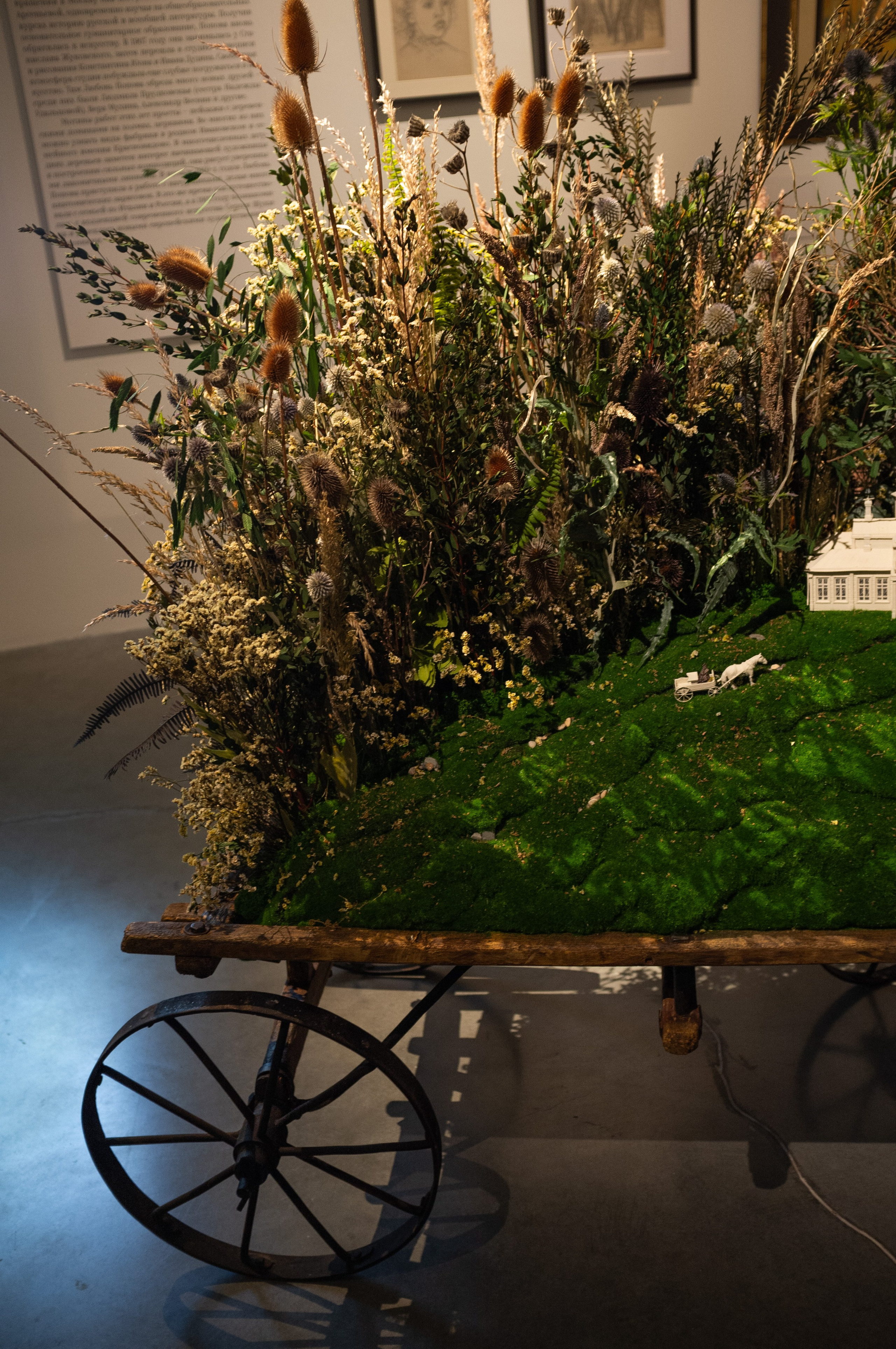 Люба, Любочка, Любовь. Еврейский музей. Искусство фотографии. Мария Осокина