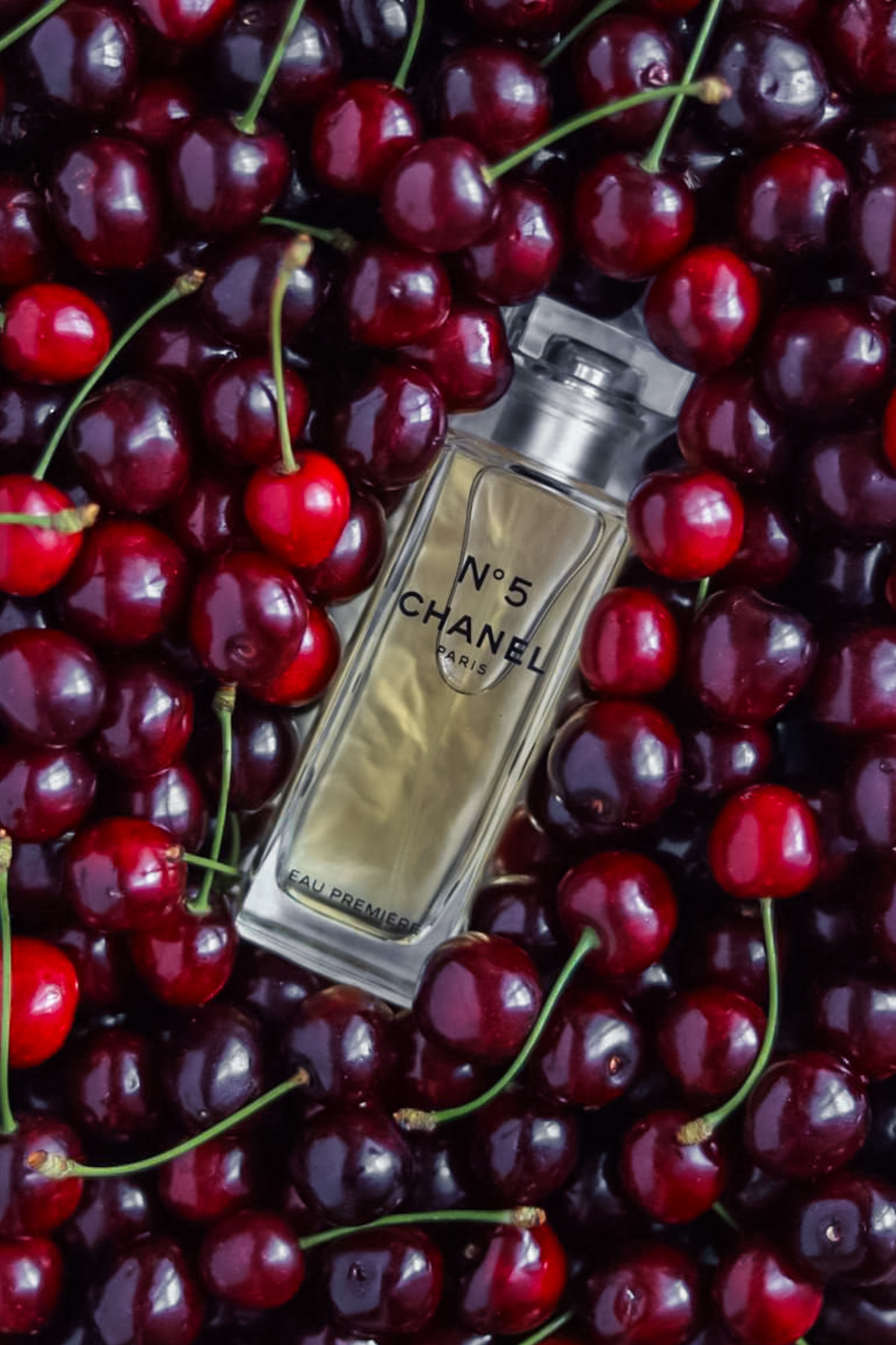 Курс «По предметной съемке и продвижению в Reels». Anushikcreates