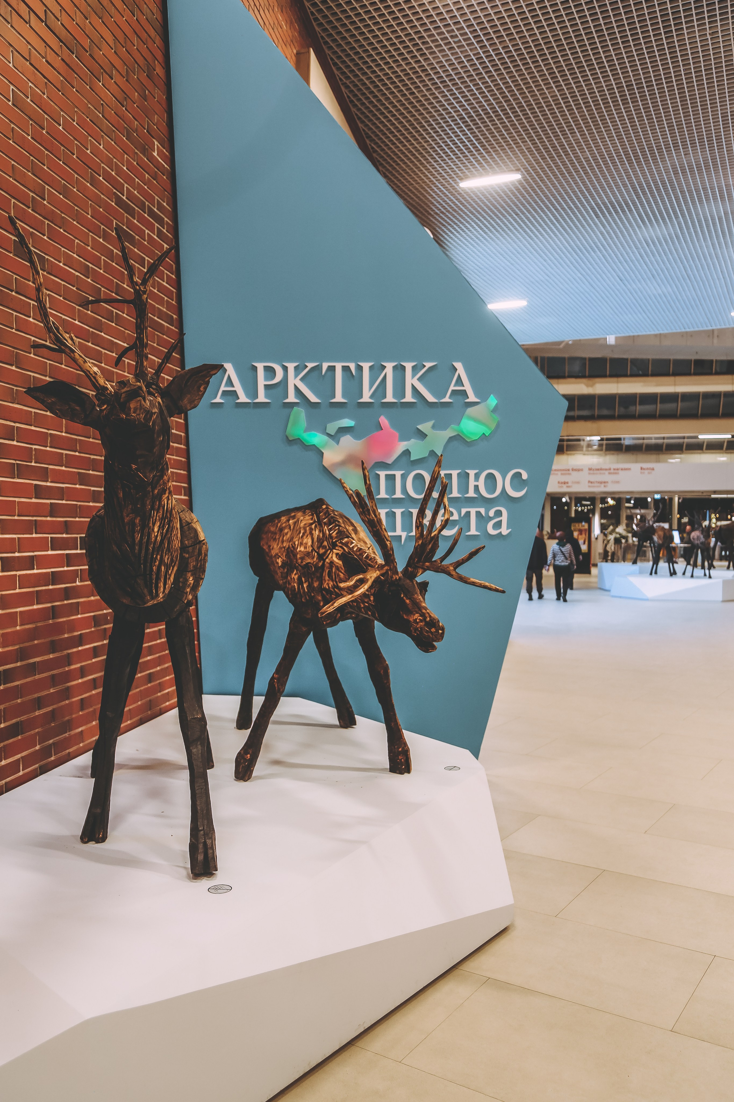 «Арктика. Полюс цвета» — о новой выставке в Третьяковской галерее. Дарья Письменюк / Darya Leitstern — фотограф, музыкант, журналист, путешественник