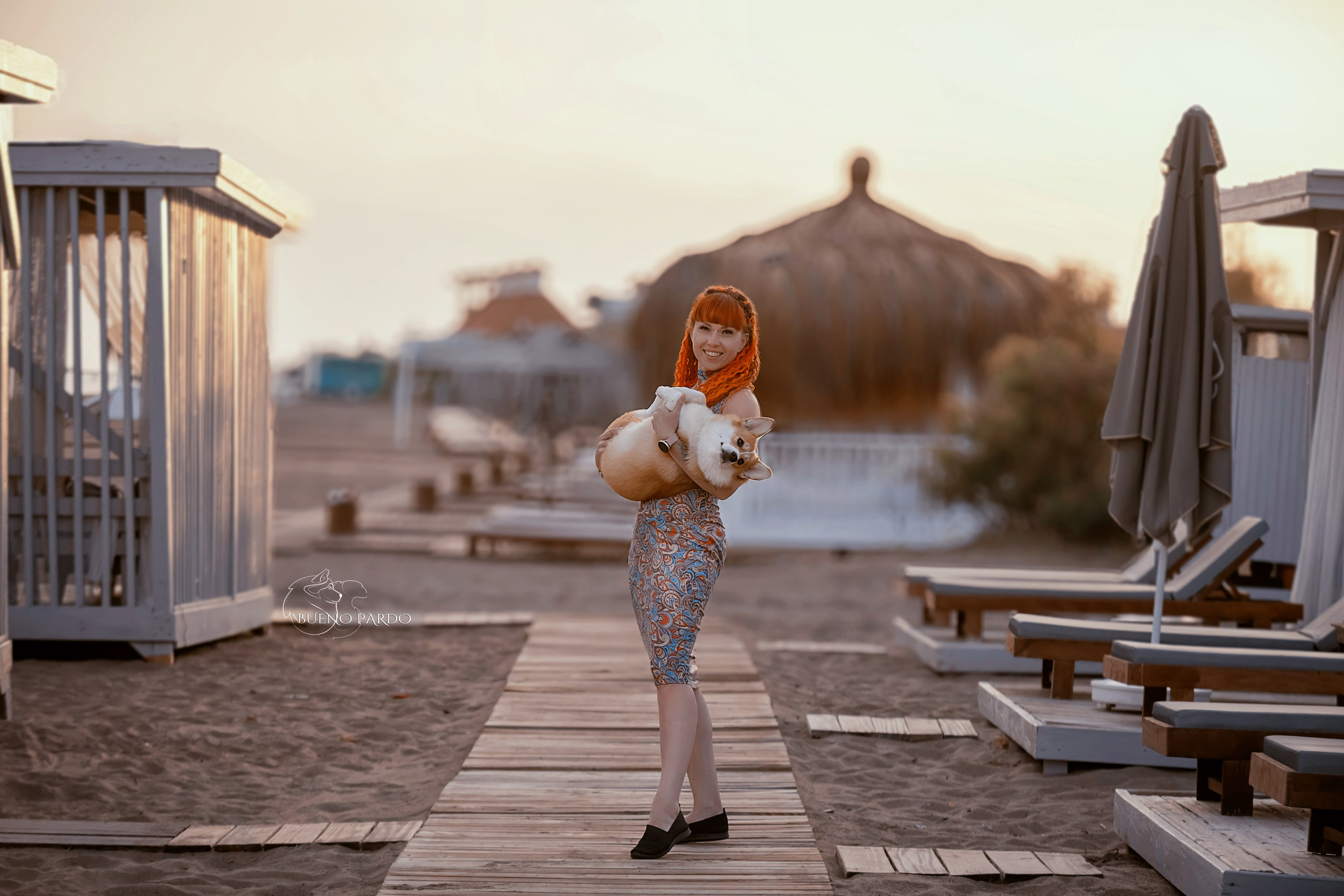 Собаки питомника Bueno Pardo. Питомник собак Акита, Хаски, Корги