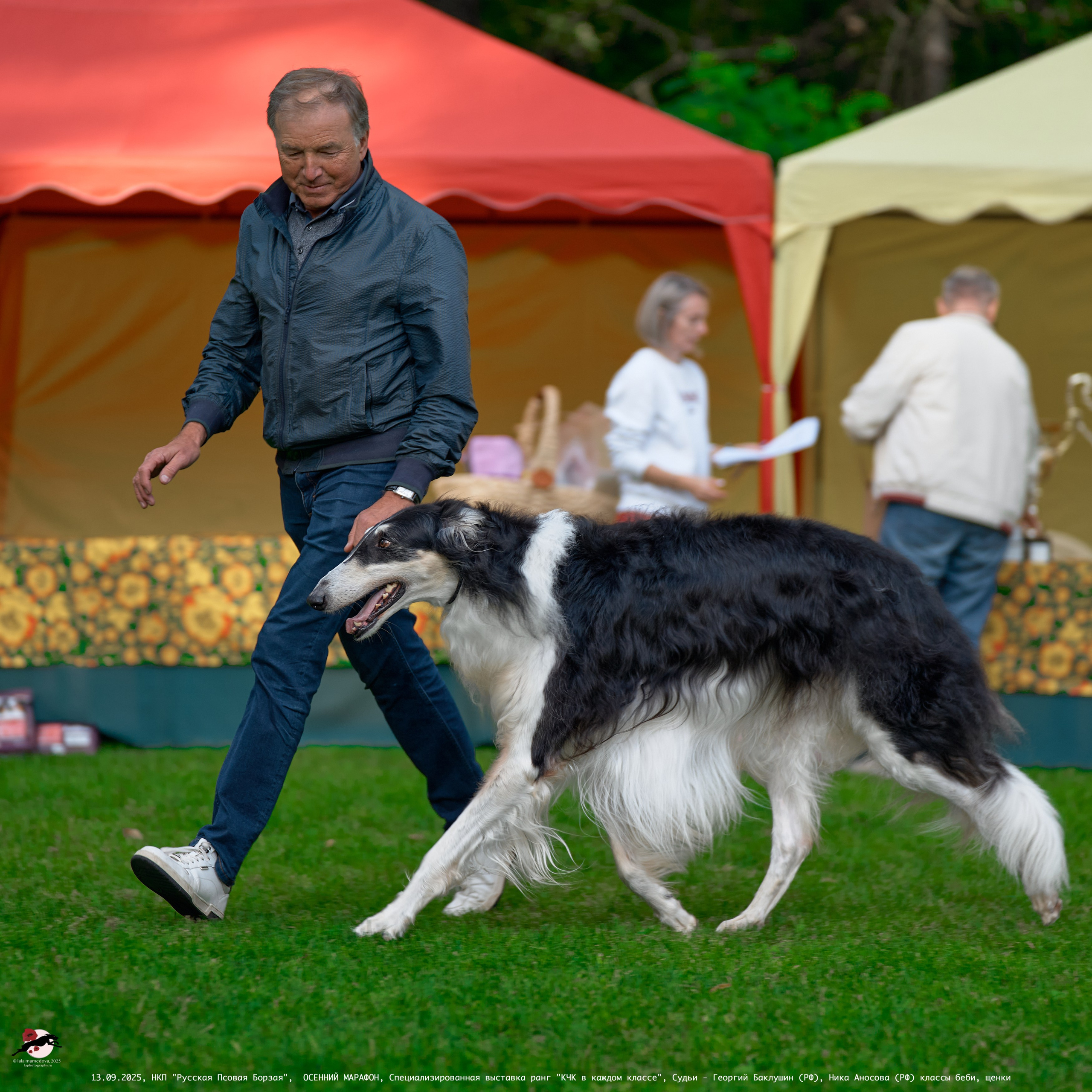 ОСЕННИЙ МАРАФОН | Специализированная выставка породы Русская Псовая Борзая ранг "КЧК в каждом классе"