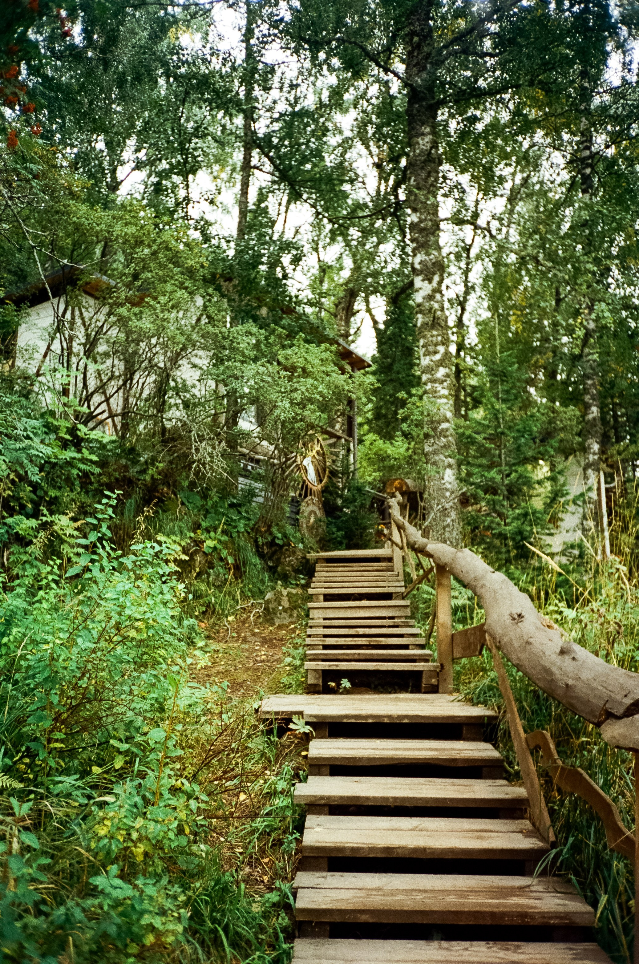 Горный курорт Манжерок, мост Царская охота и Белые скалы. Фотограф-документалист Мария Осокина