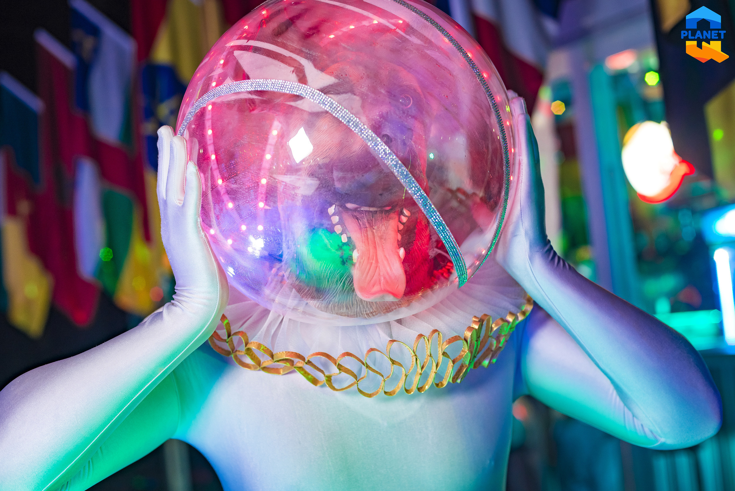 Планета Q. Серия вечеринок. Фотограф Опыт Качество Скорость Горный Алтай Барнаул