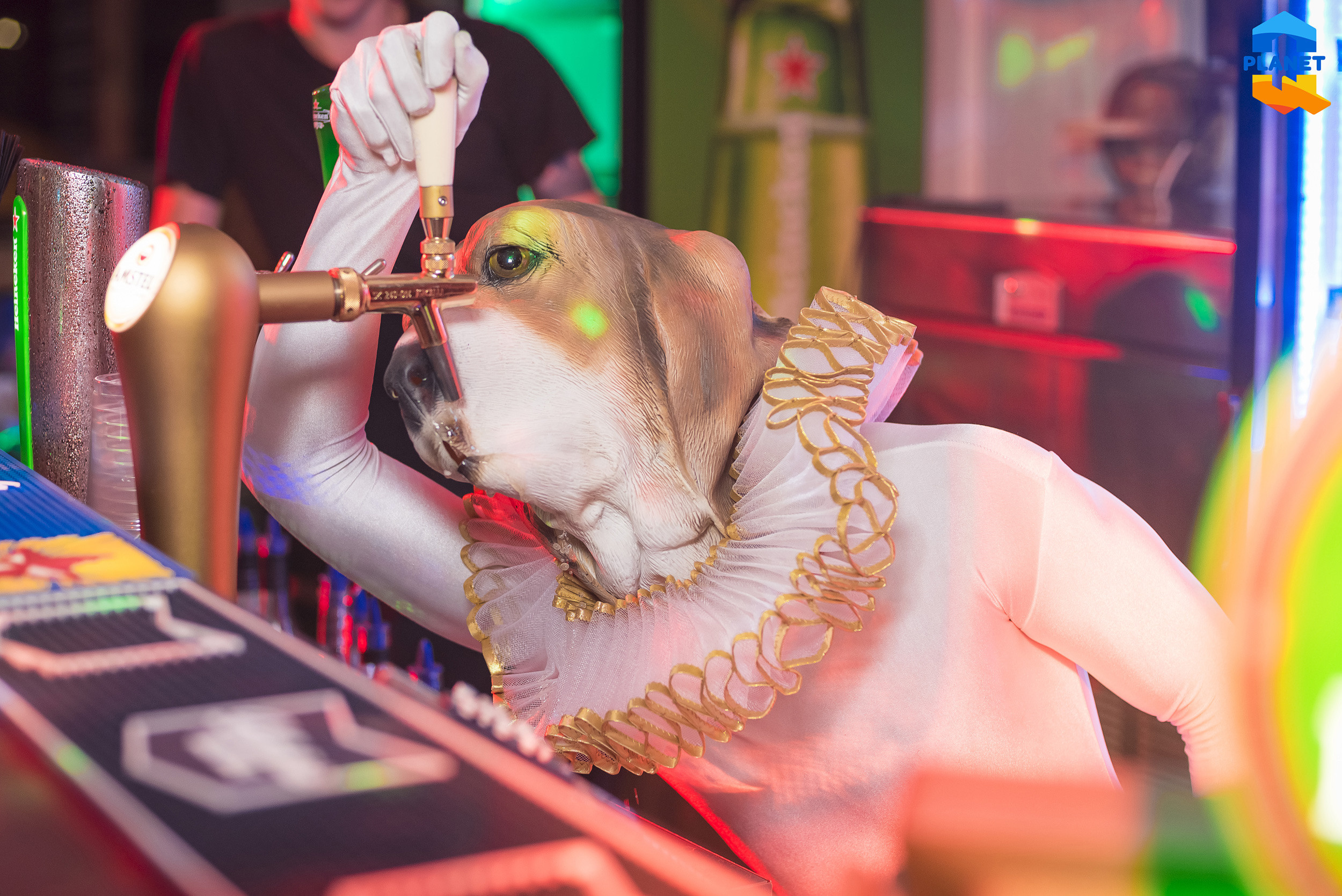 Планета Q. Серия вечеринок. Фотограф Опыт Качество Скорость Горный Алтай Барнаул