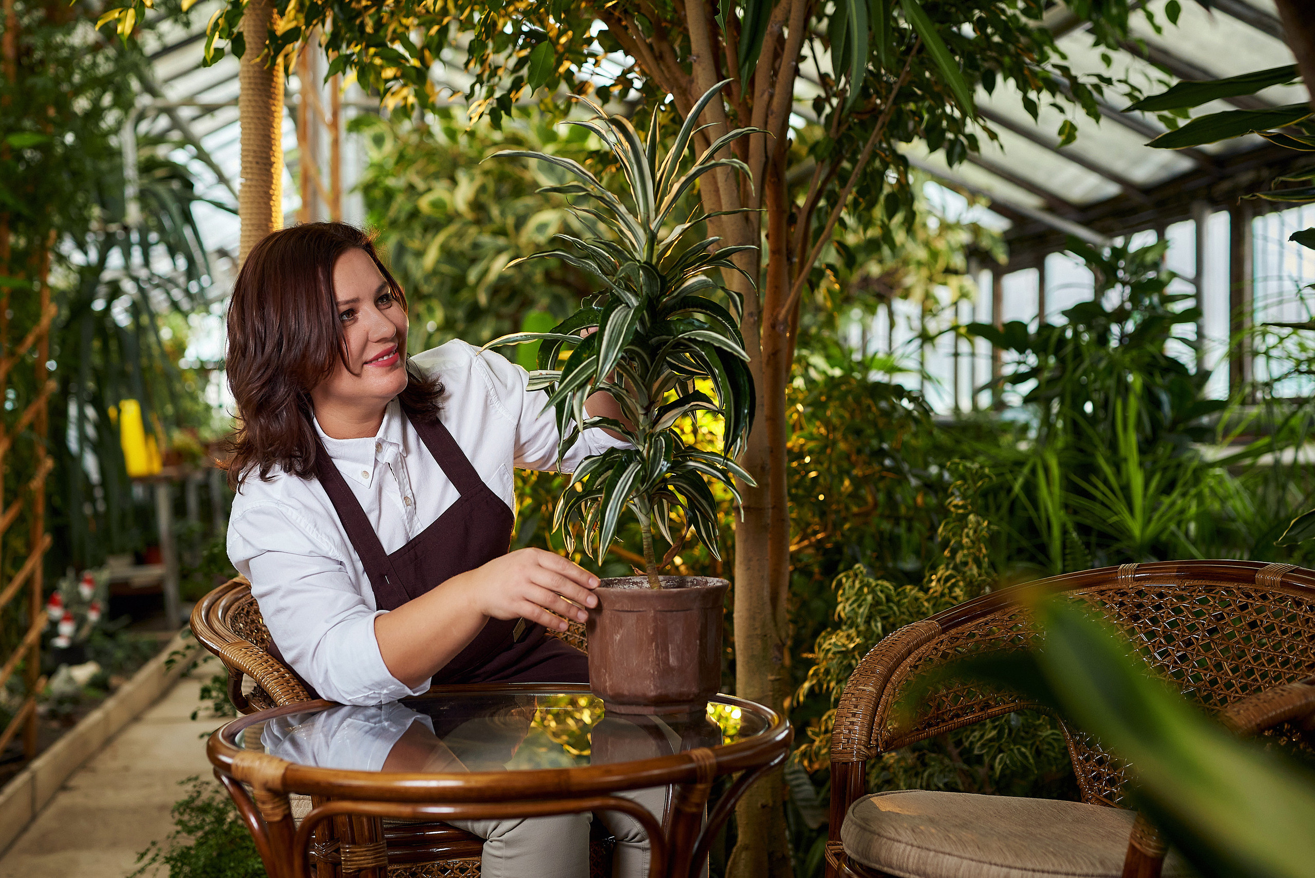 Тамара. Оранжерея. Садовод. Фотограф Опыт Качество Скорость Горный Алтай Барнаул