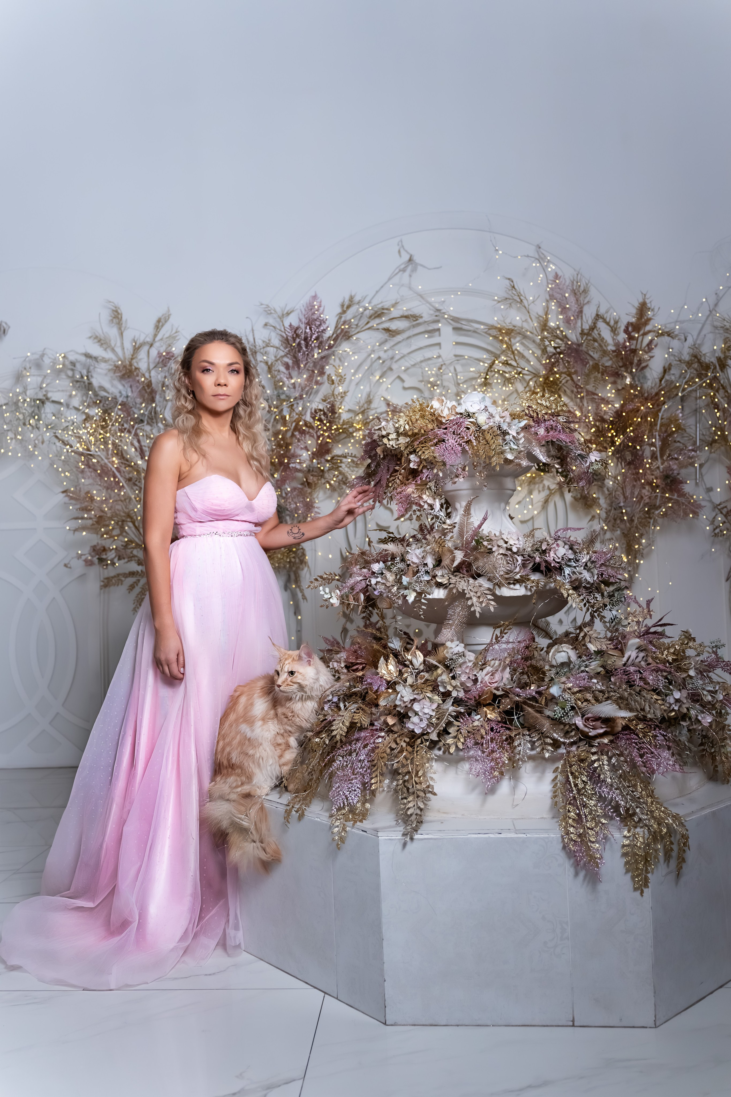 Фотосессия с котом и котятами в студии в Москве от фотографа Елены Жмельковой