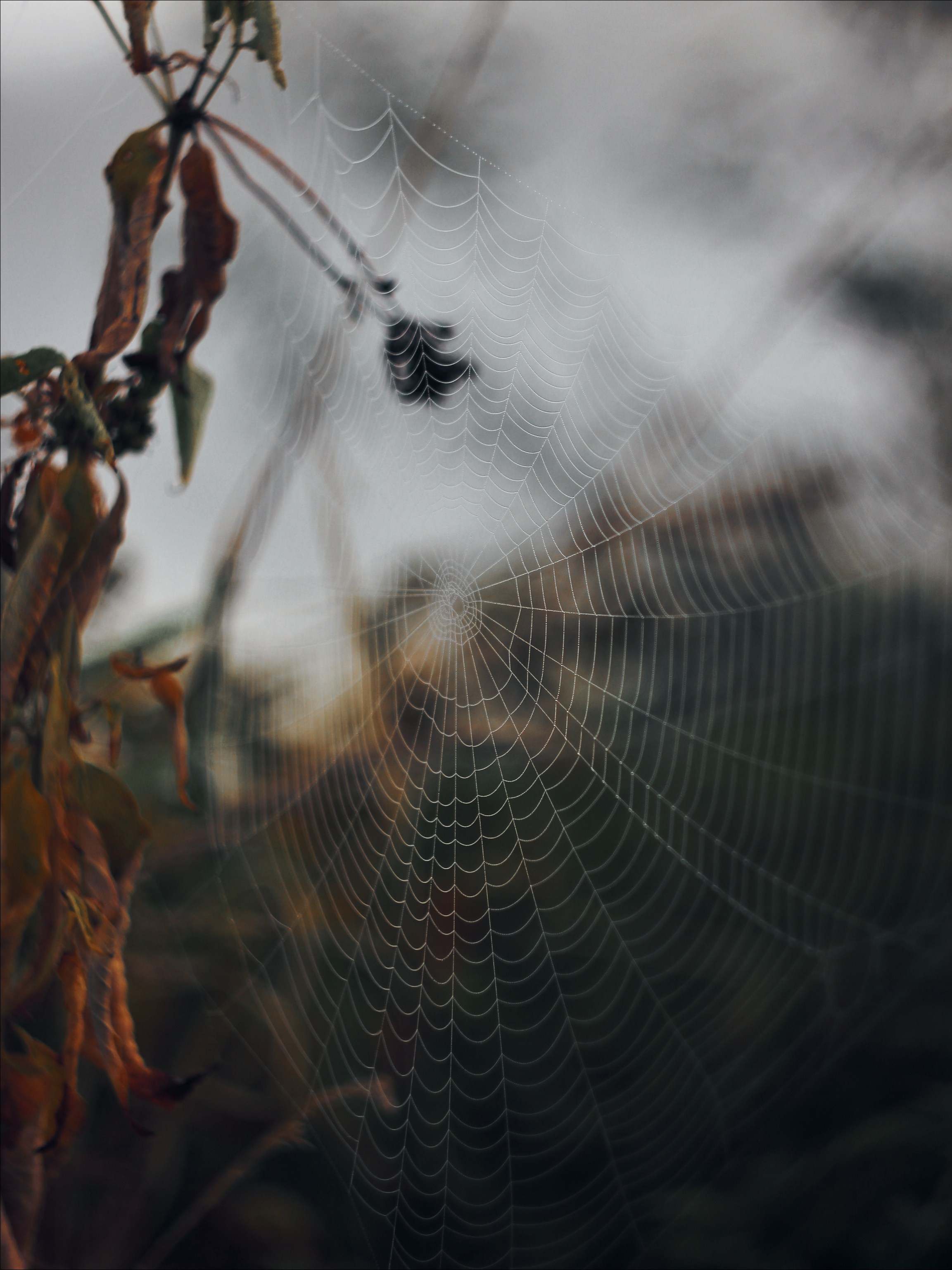 Опустошенность. С любовью, фотохудожник