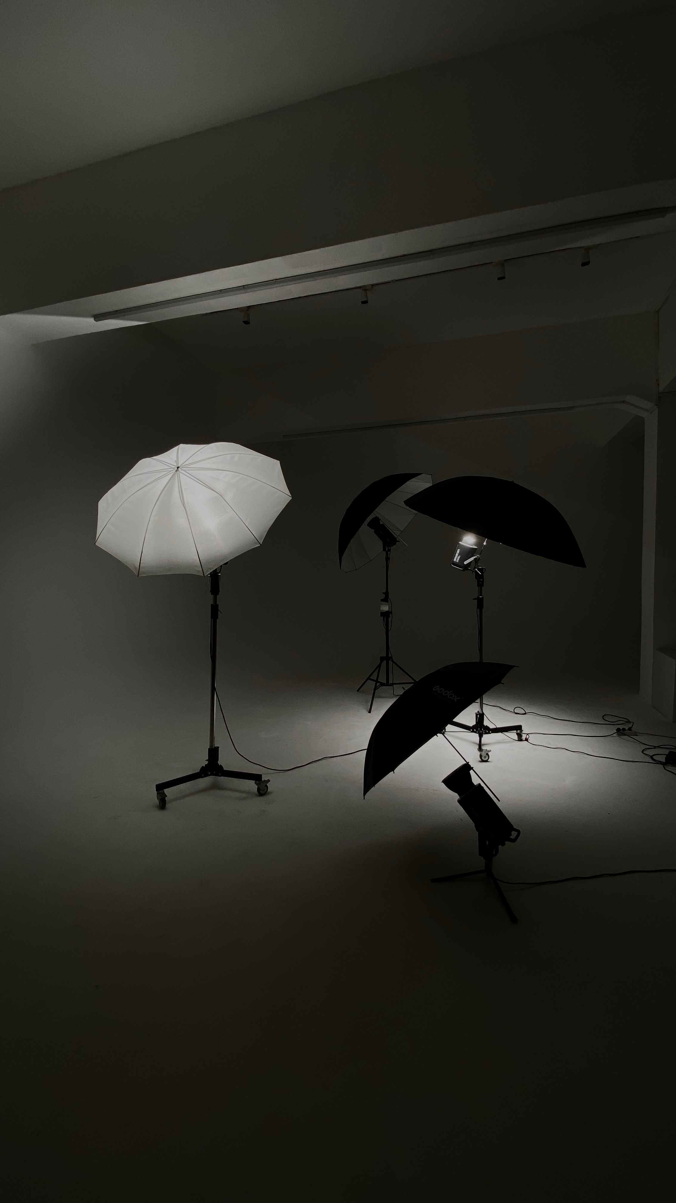 Гафер. Фотограф Пудинова Настя