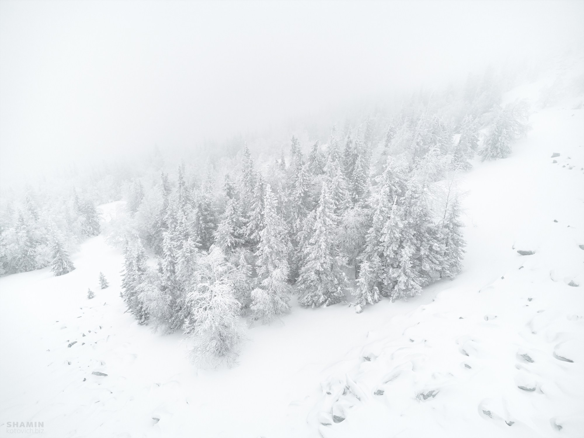 Проект 365. Фотограф Константин Шамин