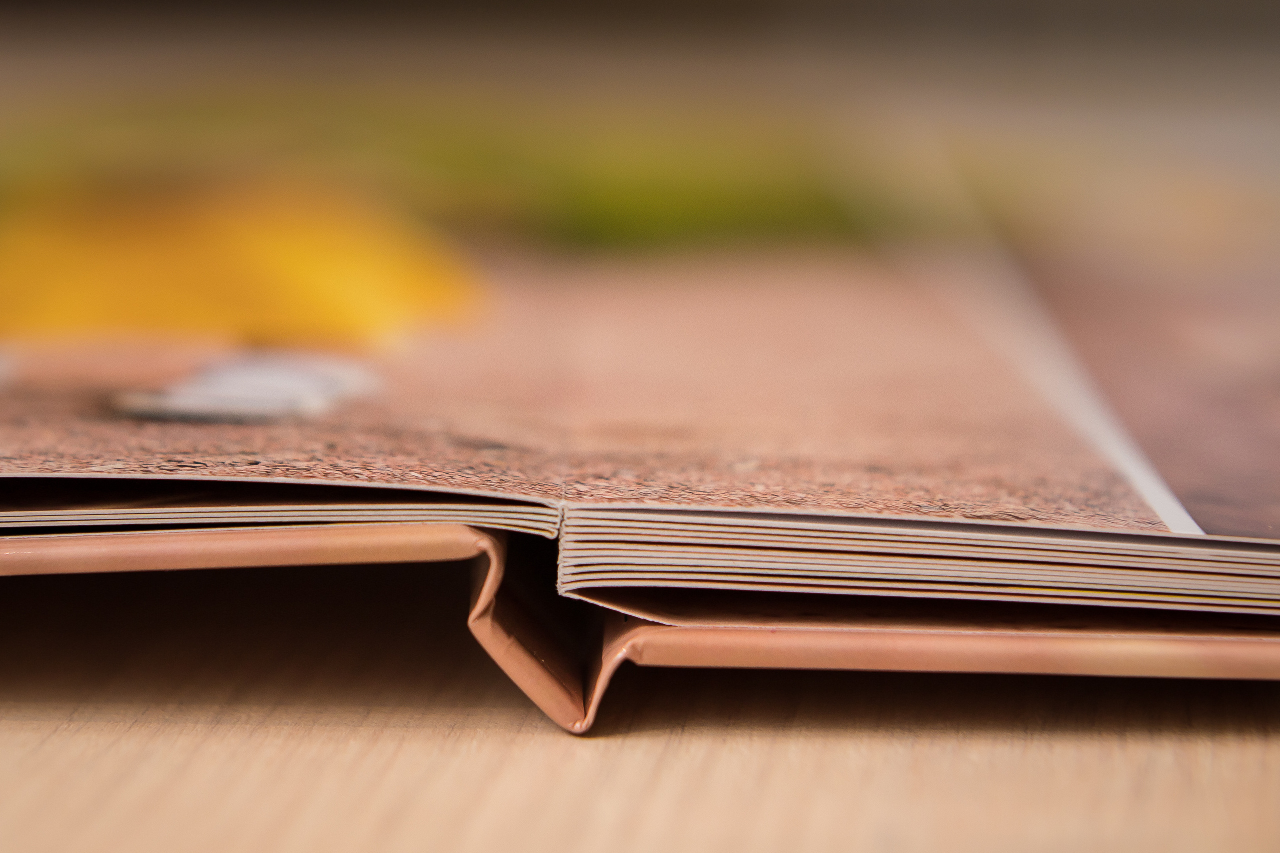 Ответы на частые вопросы. Семейный и детский фотограф в Москве Тихонова Ксения