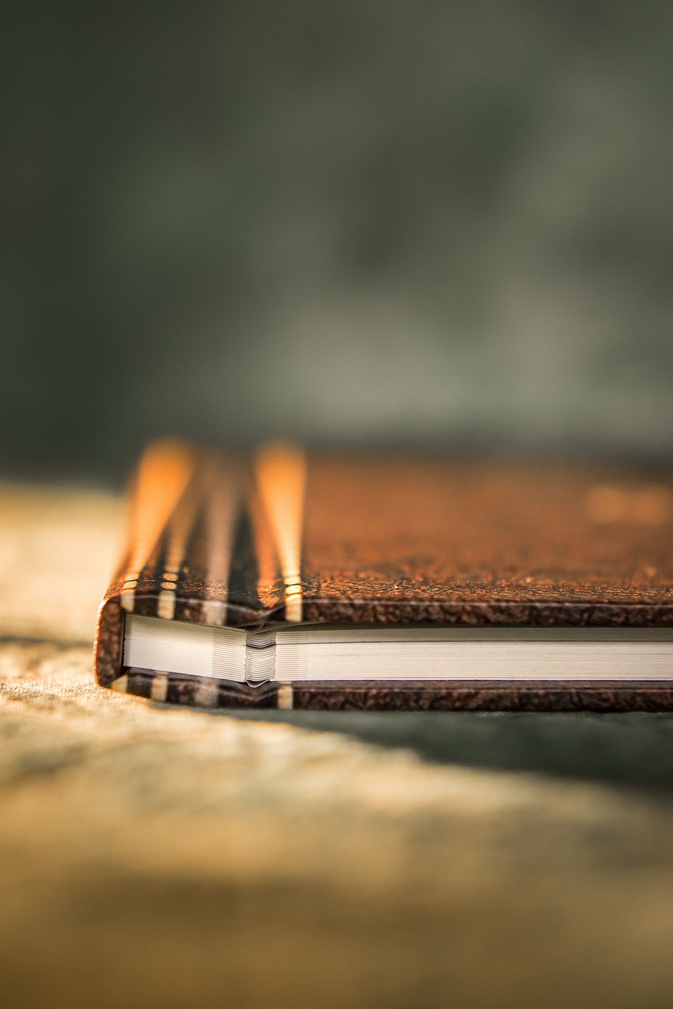 Книга, в которой воспоминания оживают. Семейный и детский фотограф в Москве Тихонова Ксения