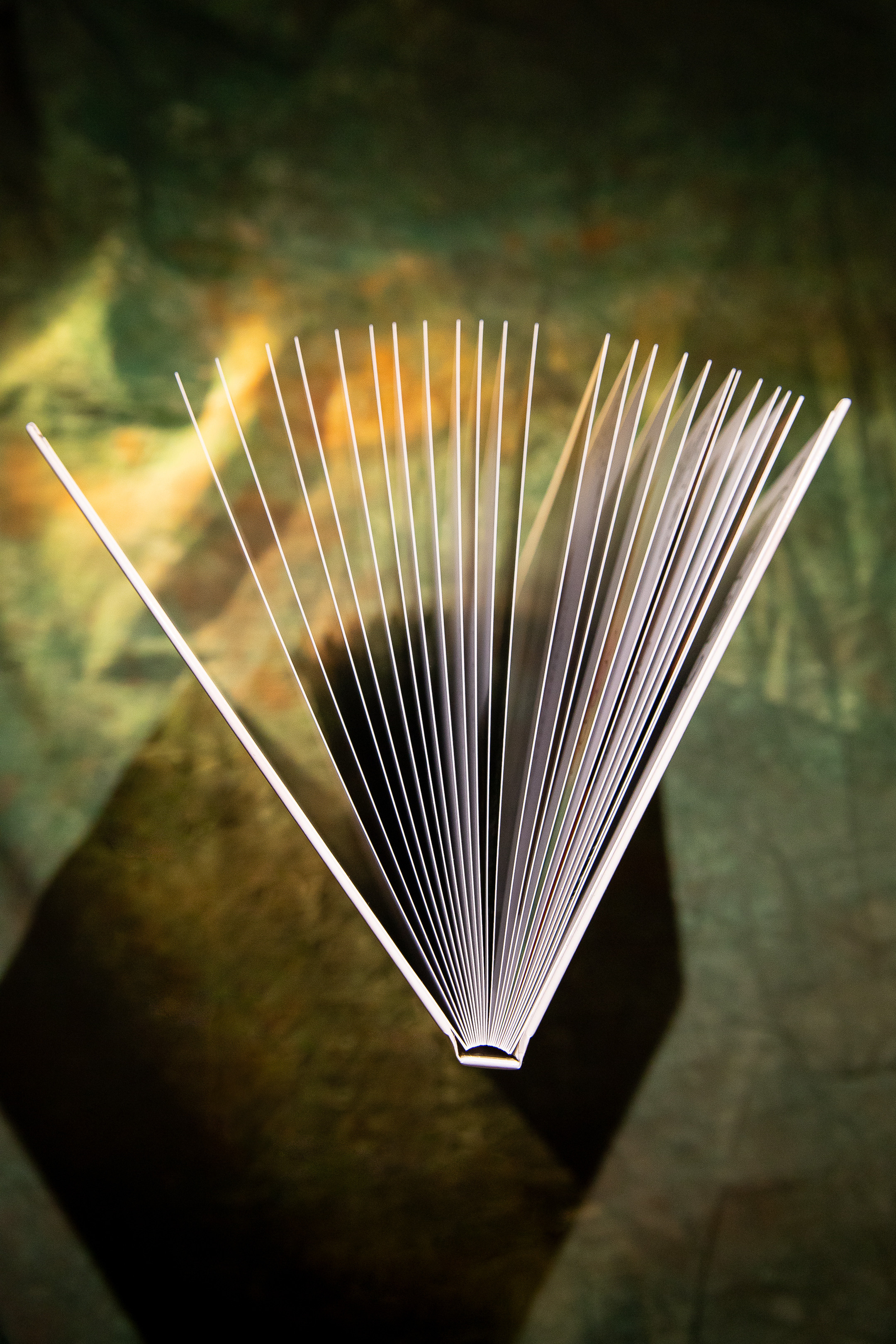 История одного заказа или подарок маме на юбилей. Семейный и детский фотограф в Москве Тихонова Ксения