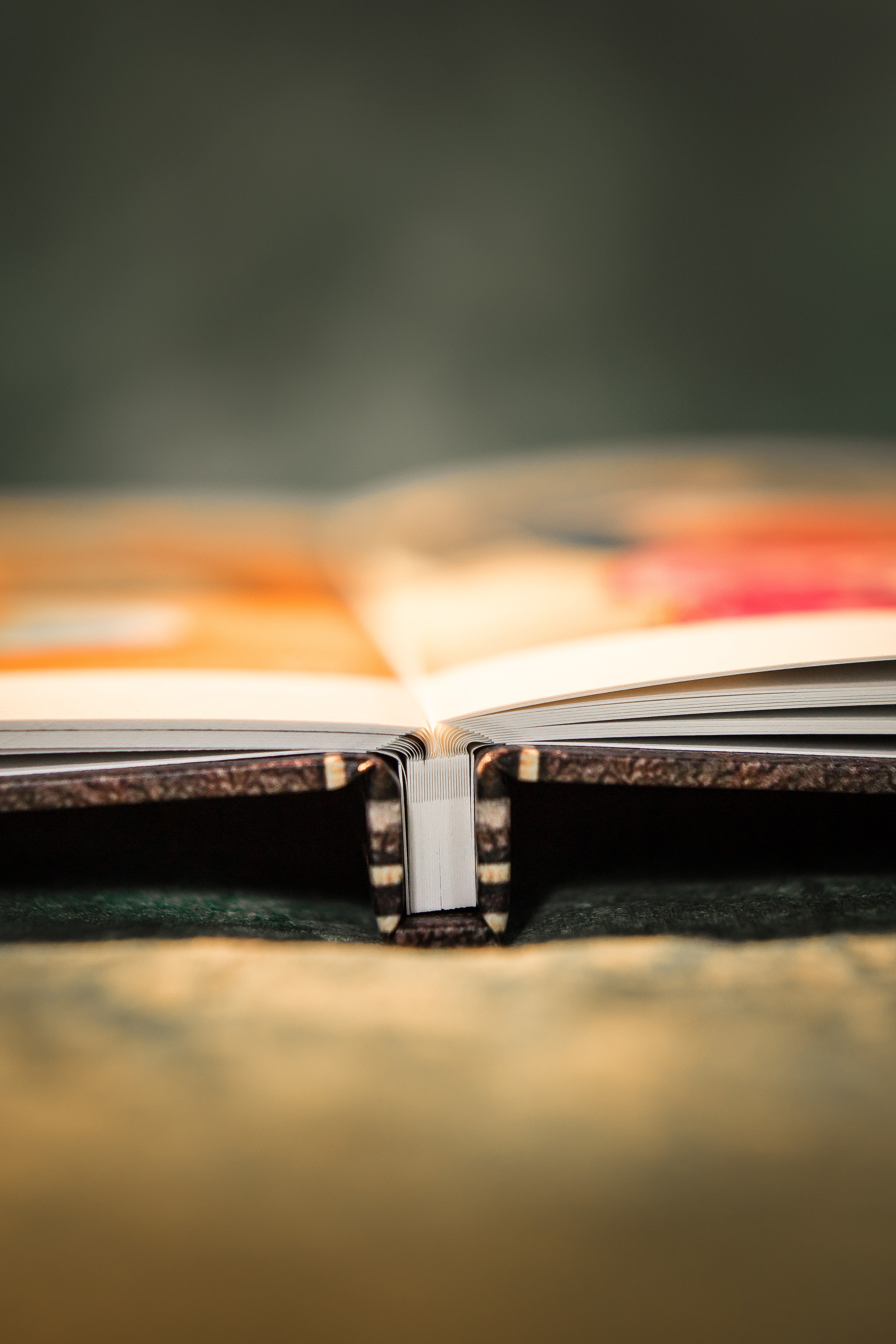 Книга, в которой воспоминания оживают. Семейный и детский фотограф в Москве Тихонова Ксения