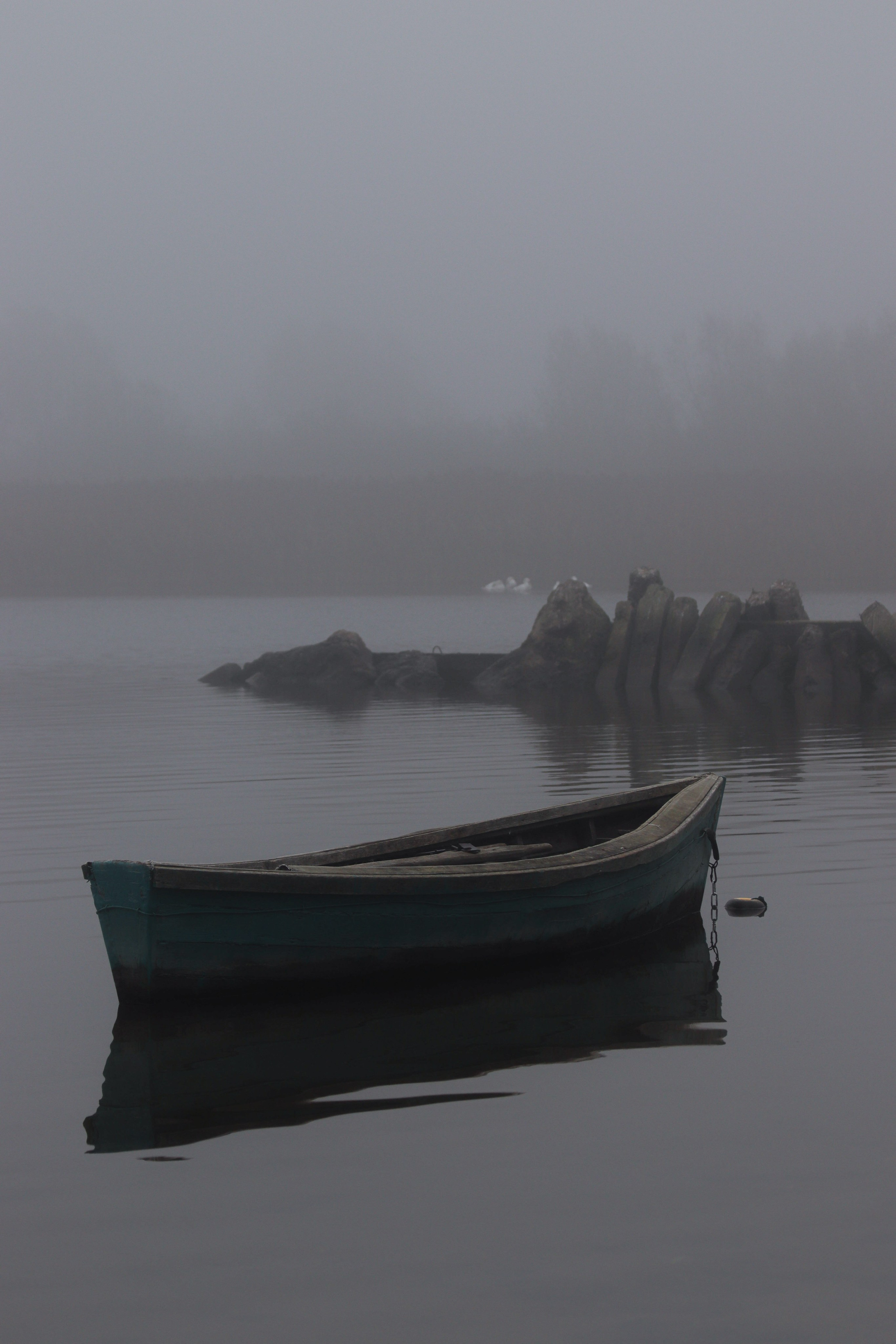 — Digital Noise —