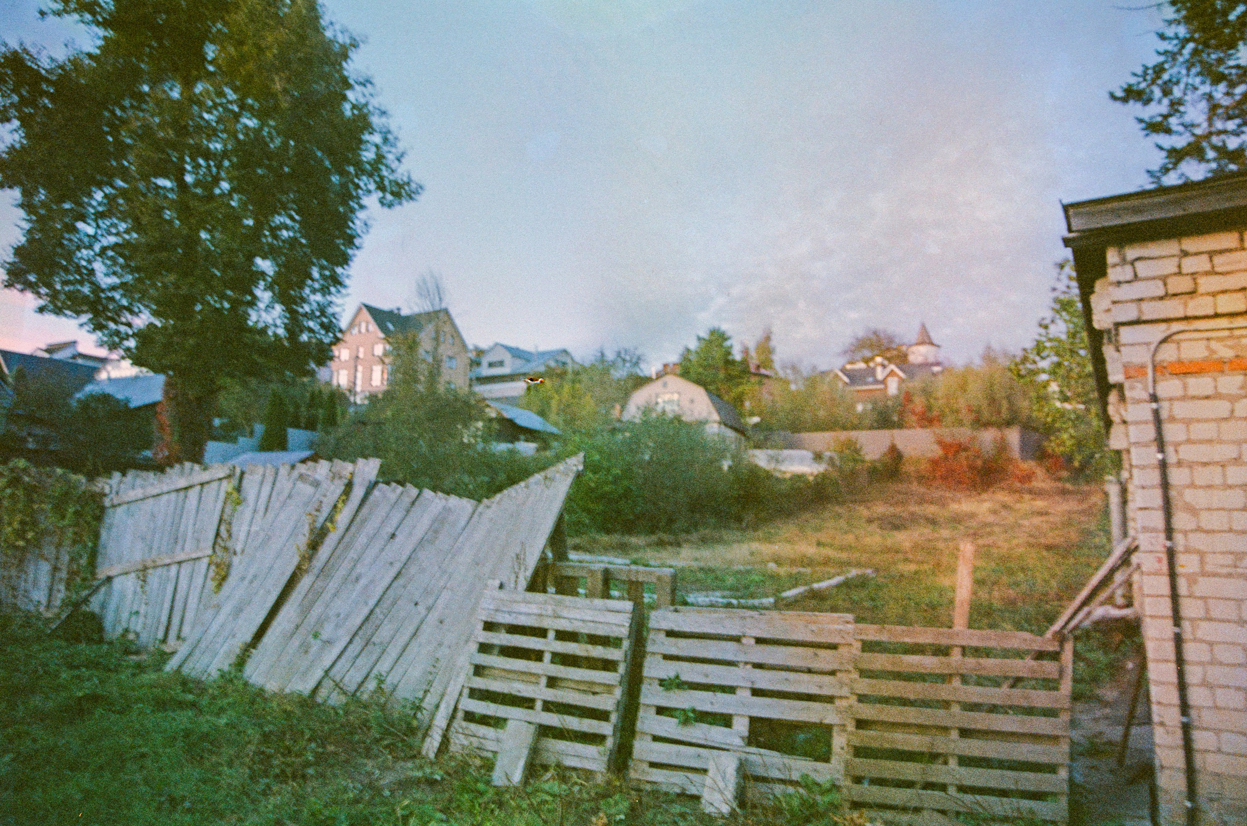 Film Soup. Лена Румянцева — репортажный, детский и семейный фотограф в Москве