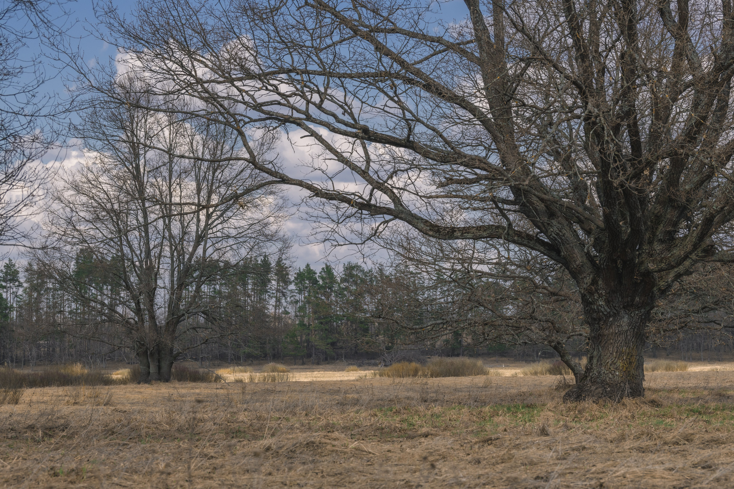 Сплав по реке Ипа 28 марта 2026 года. Репортажный фотограф Владимир Беляй