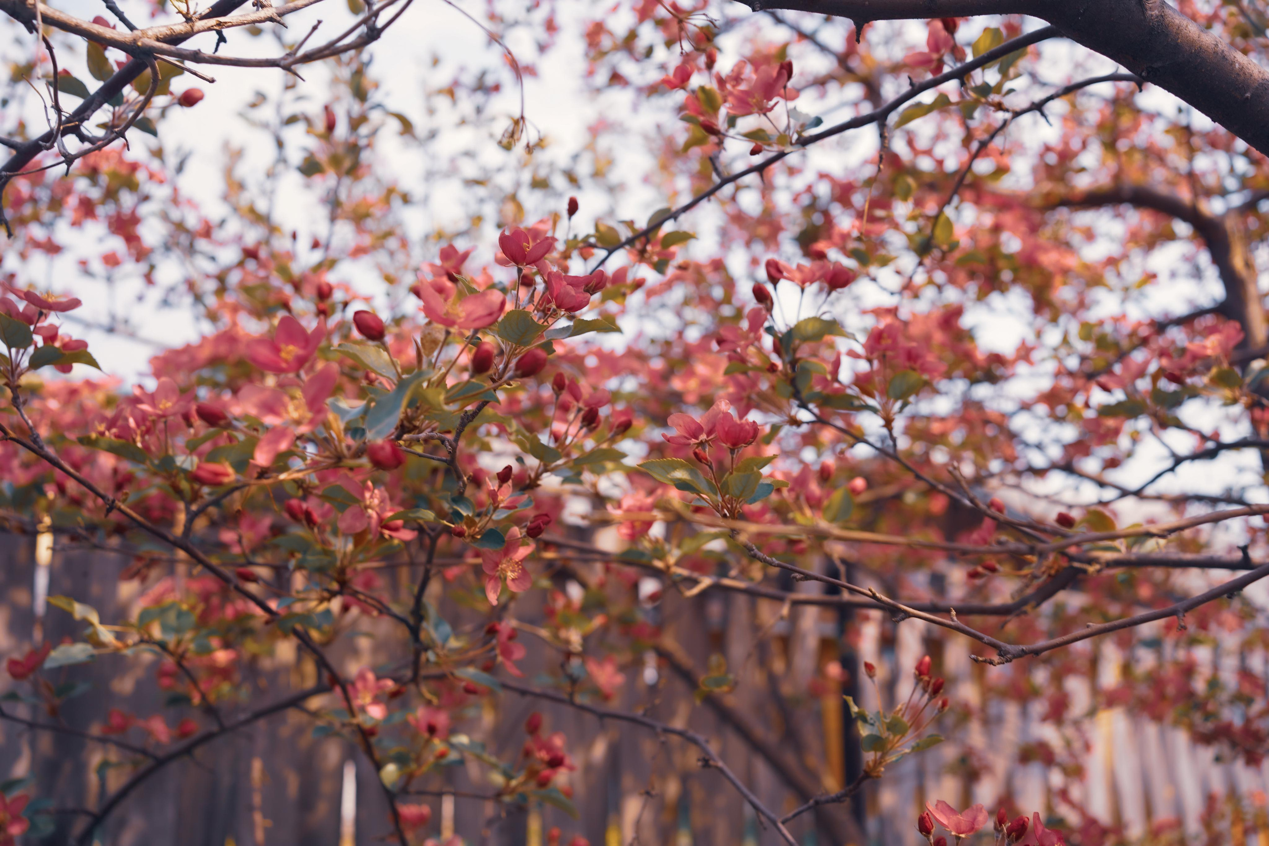 Весенние фотосессии в Мариинске в русском стиле. Портретный фотограф в Москве, Московской области. Деловой портрет