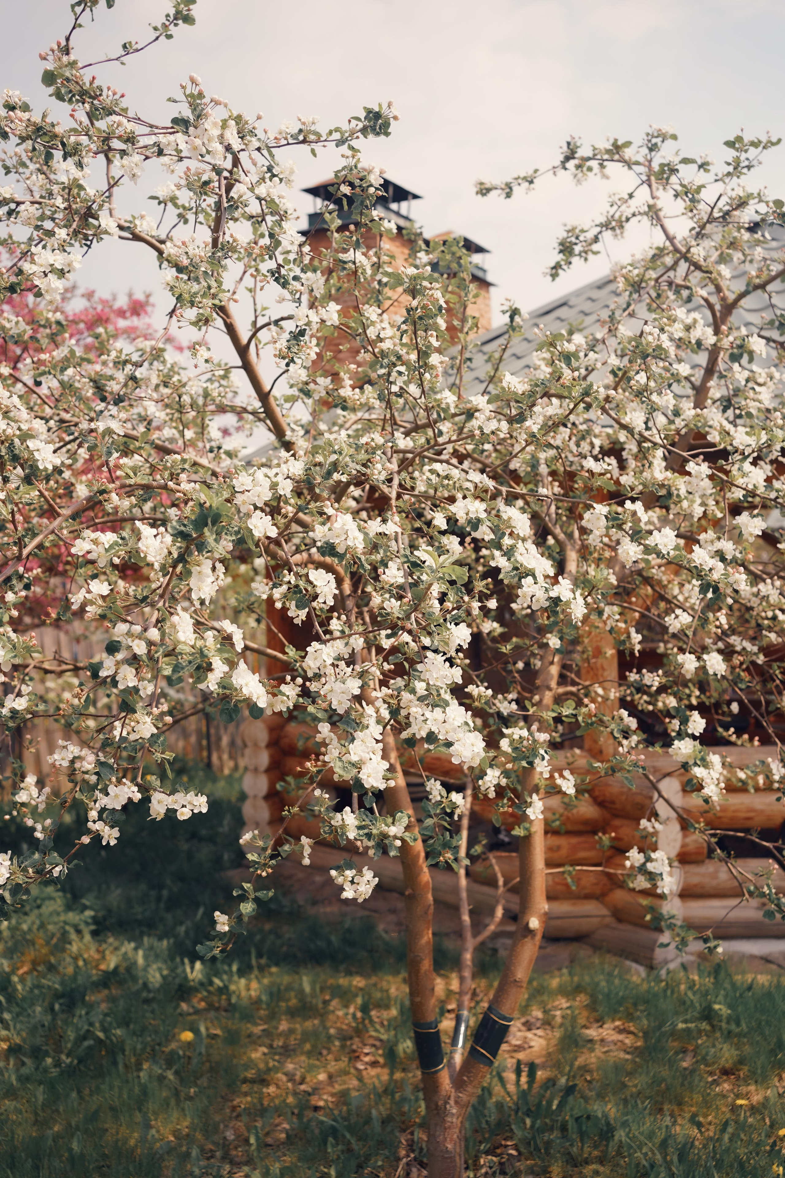 Весенние фотосессии в Мариинске в русском стиле. Портретный фотограф в Москве, Московской области. Деловой портрет