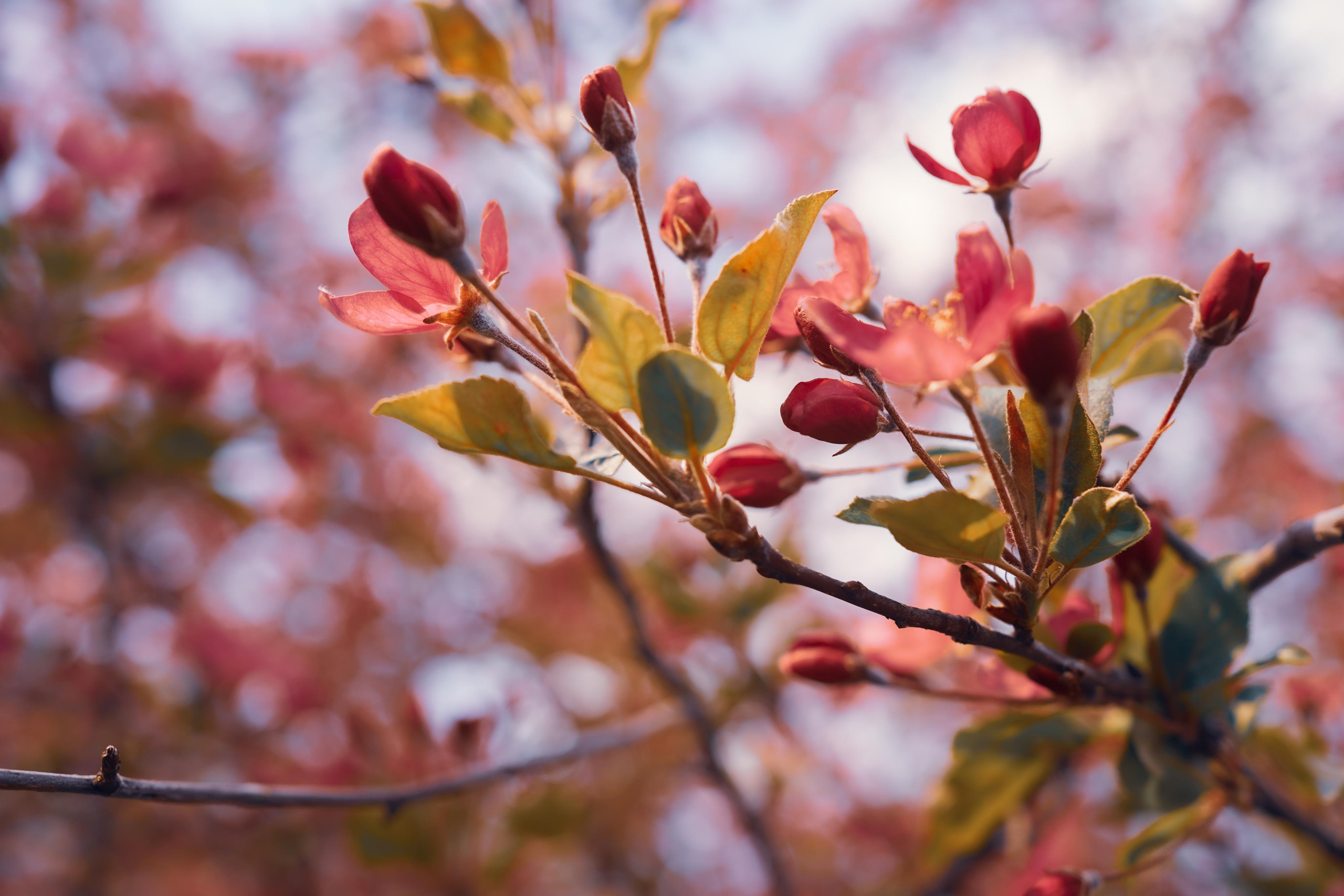 Весенние фотосессии в Мариинске в русском стиле. Портретный фотограф в Москве, Московской области. Деловой портрет