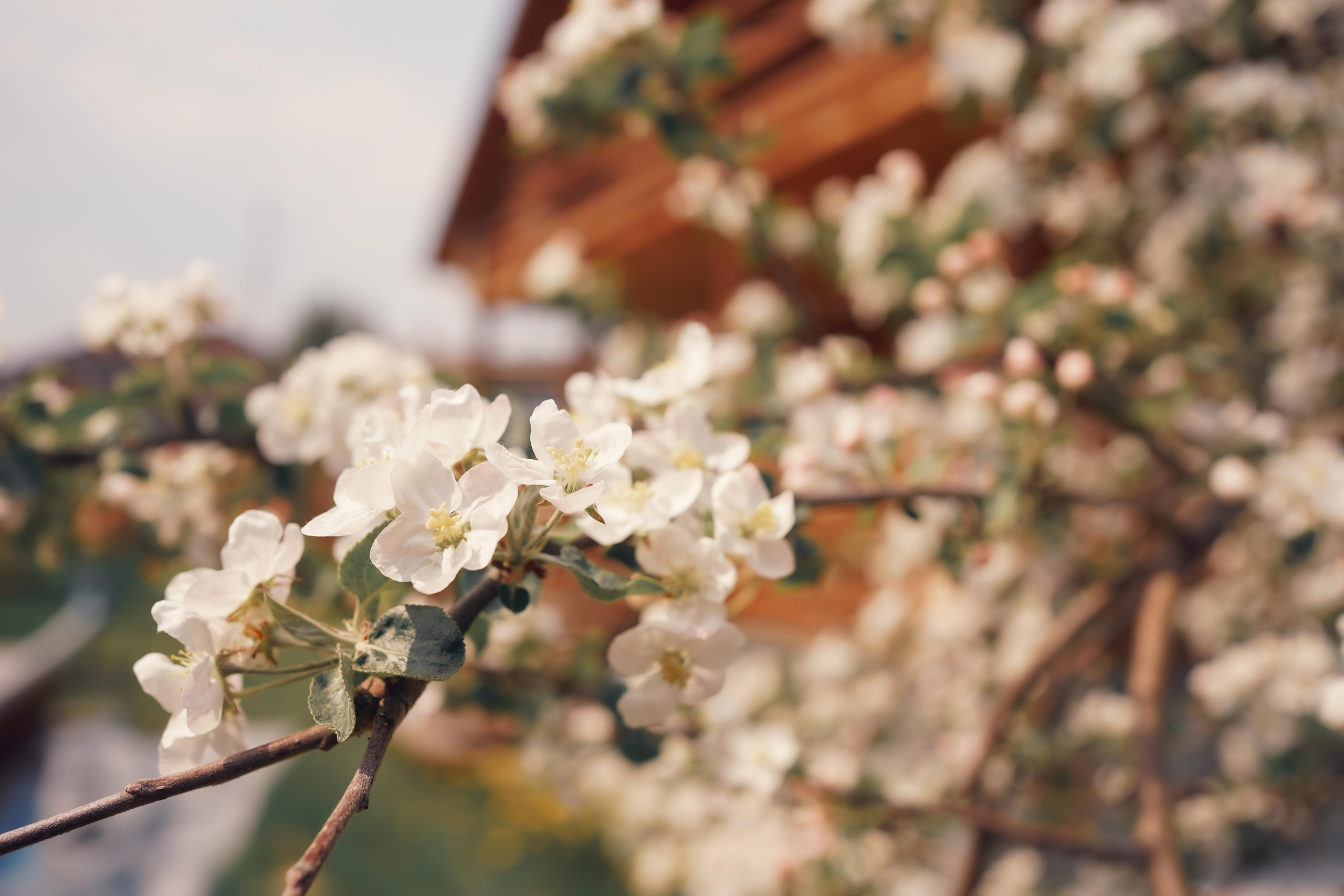 Весенние фотосессии в Мариинске в русском стиле. Портретный фотограф в Москве, Московской области. Деловой портрет