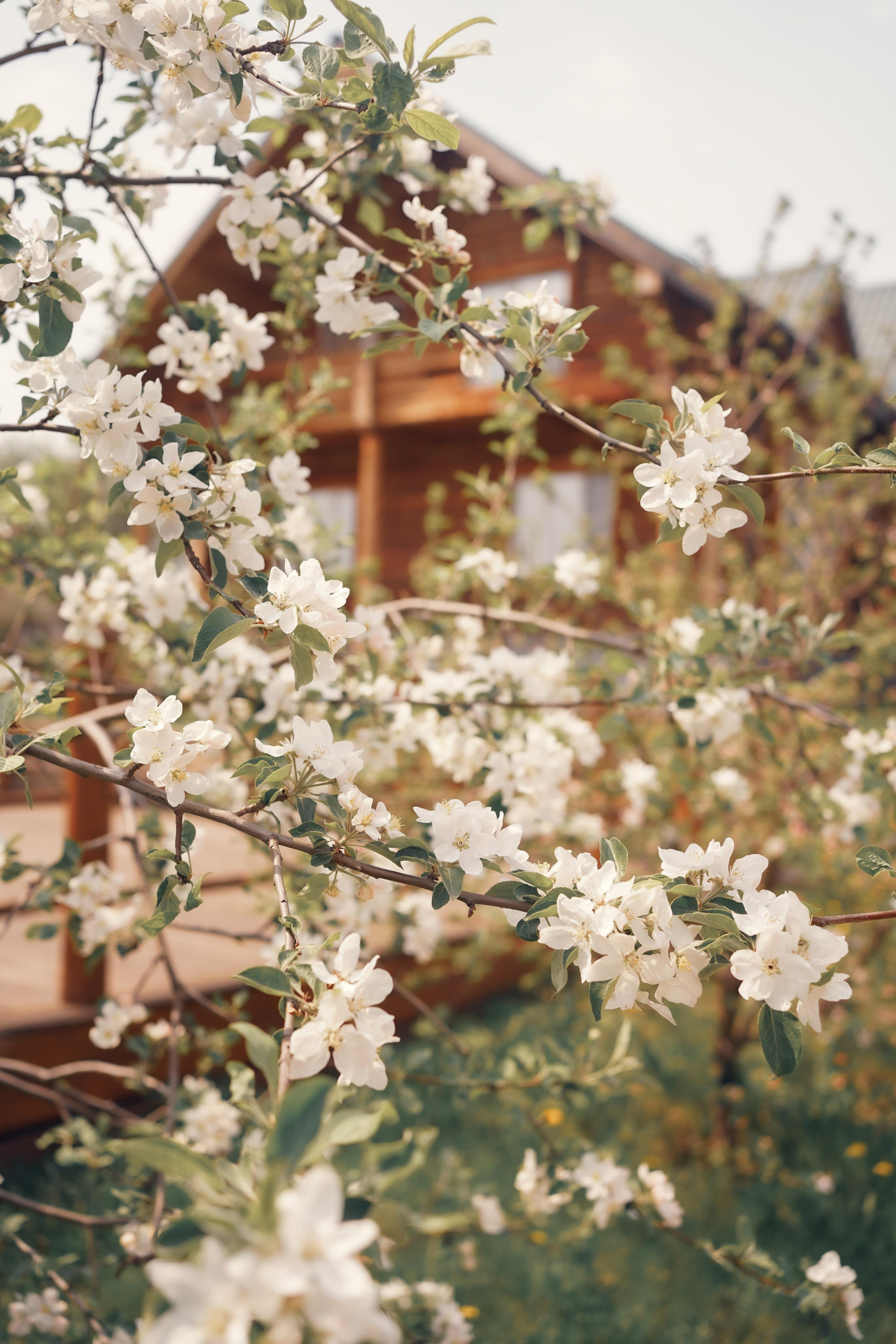 Весенние фотосессии в Мариинске в русском стиле. Портретный фотограф в Москве, Московской области. Деловой портрет